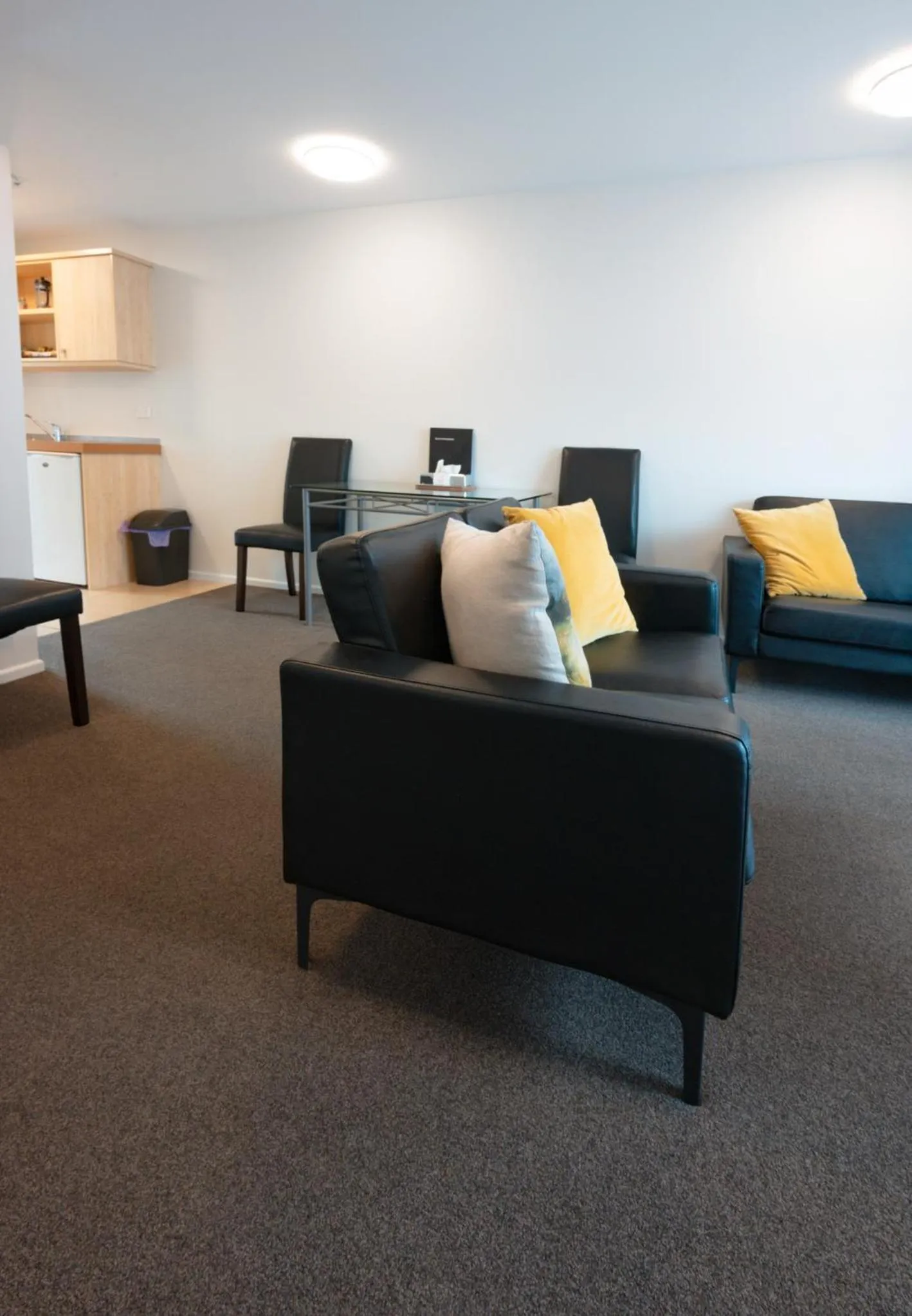 TV and multimedia in Tussock Peak Lodge