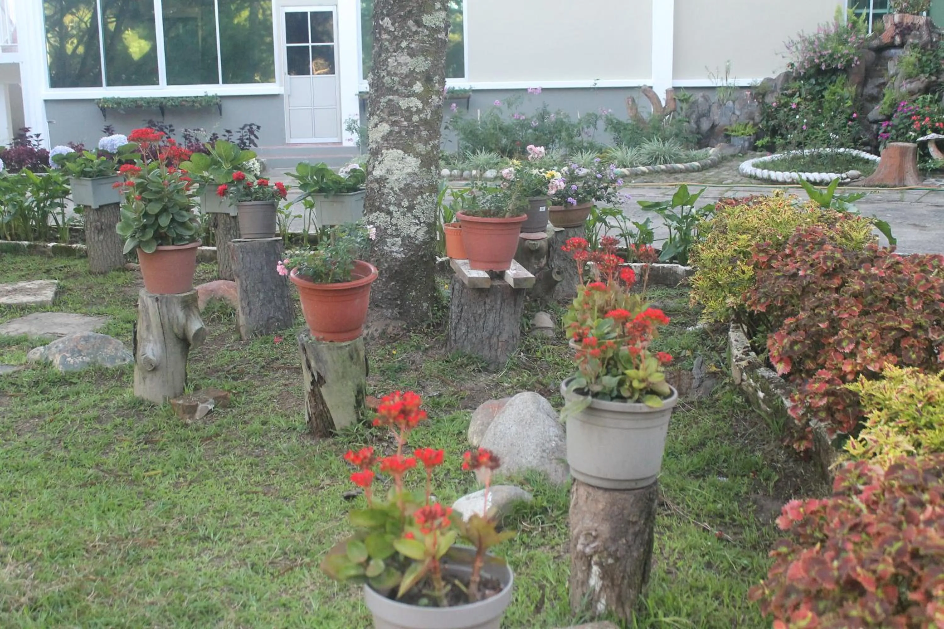 Jabez Kinabalu Inn
