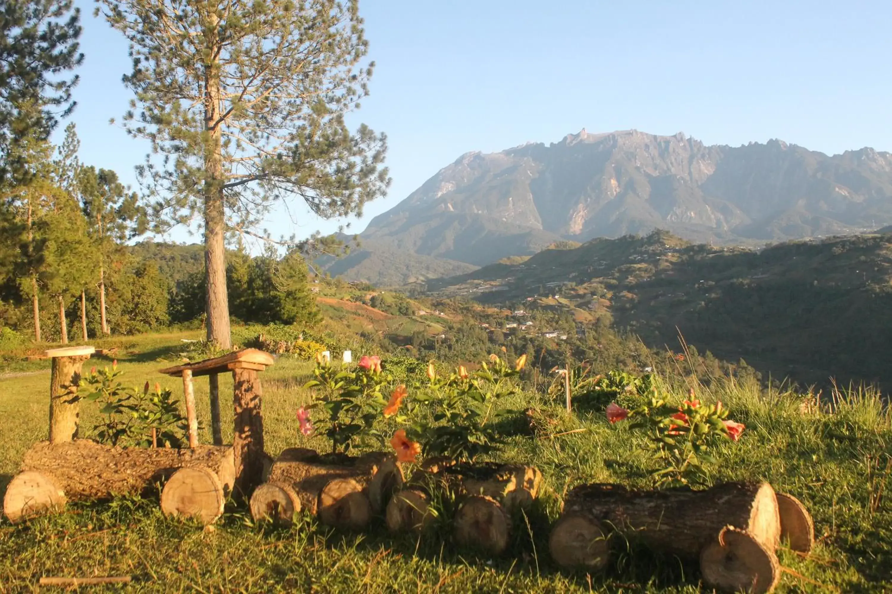 Jabez Kinabalu Inn Jabez Kinabalu Inn
