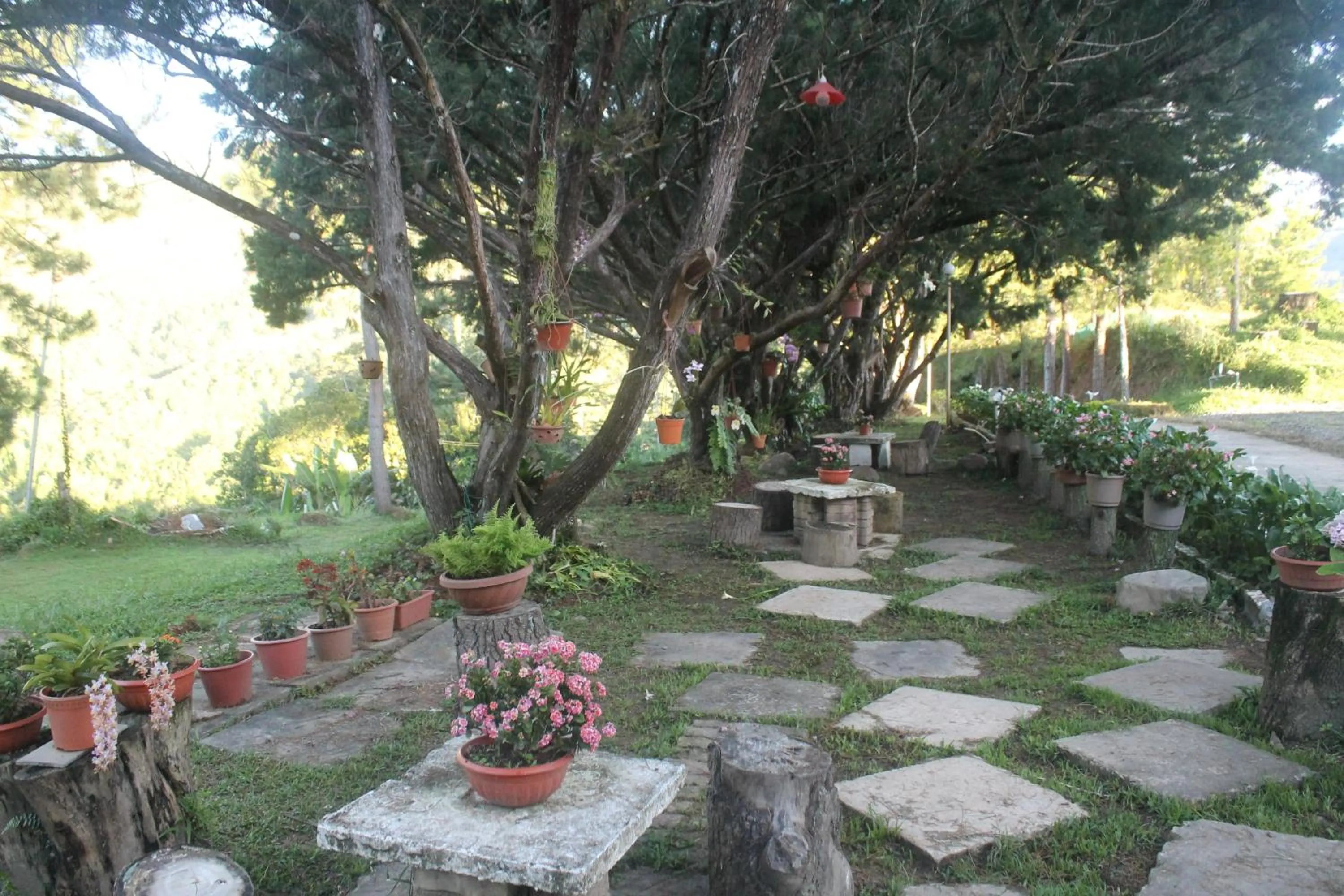 Jabez Kinabalu Inn