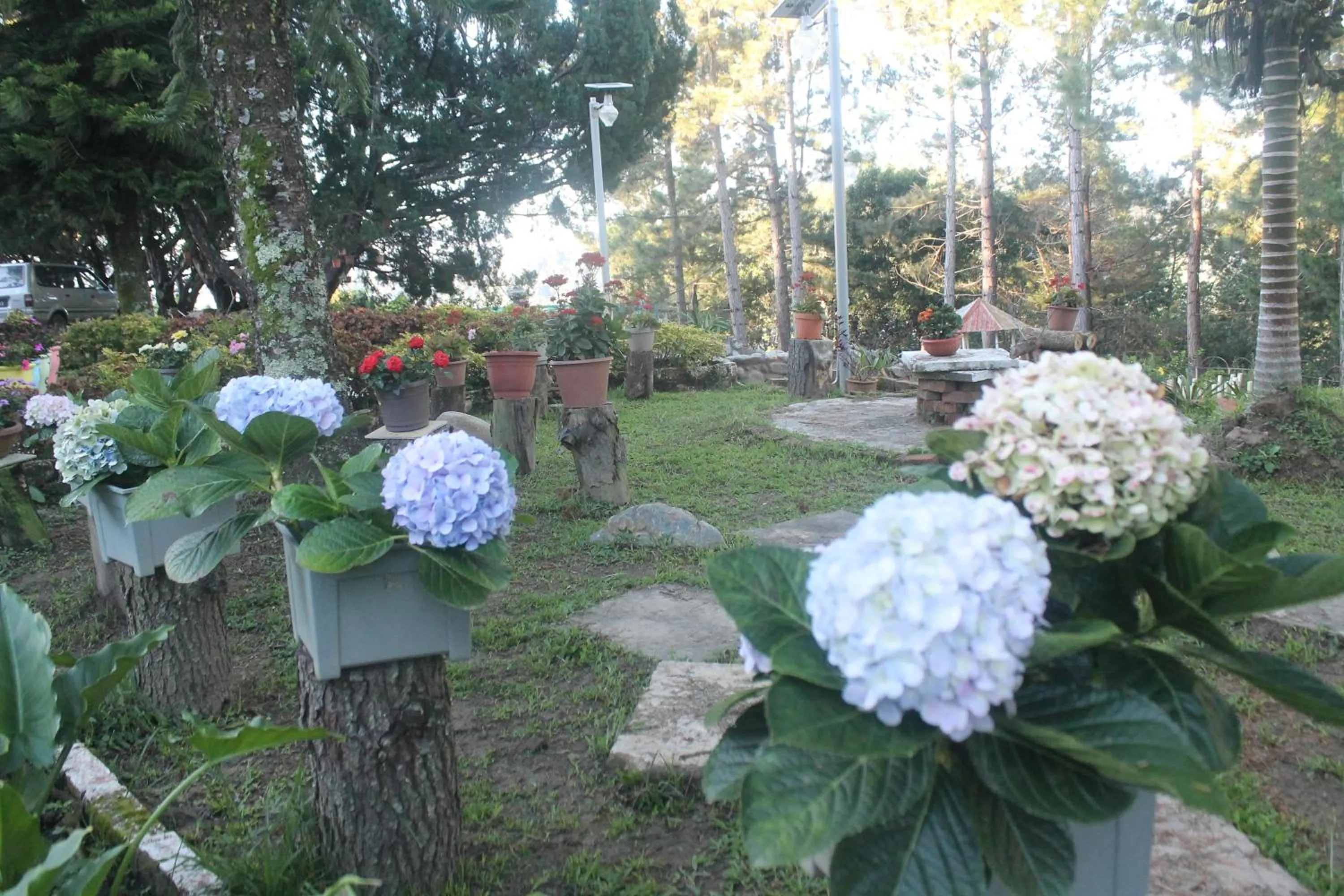 Jabez Kinabalu Inn
