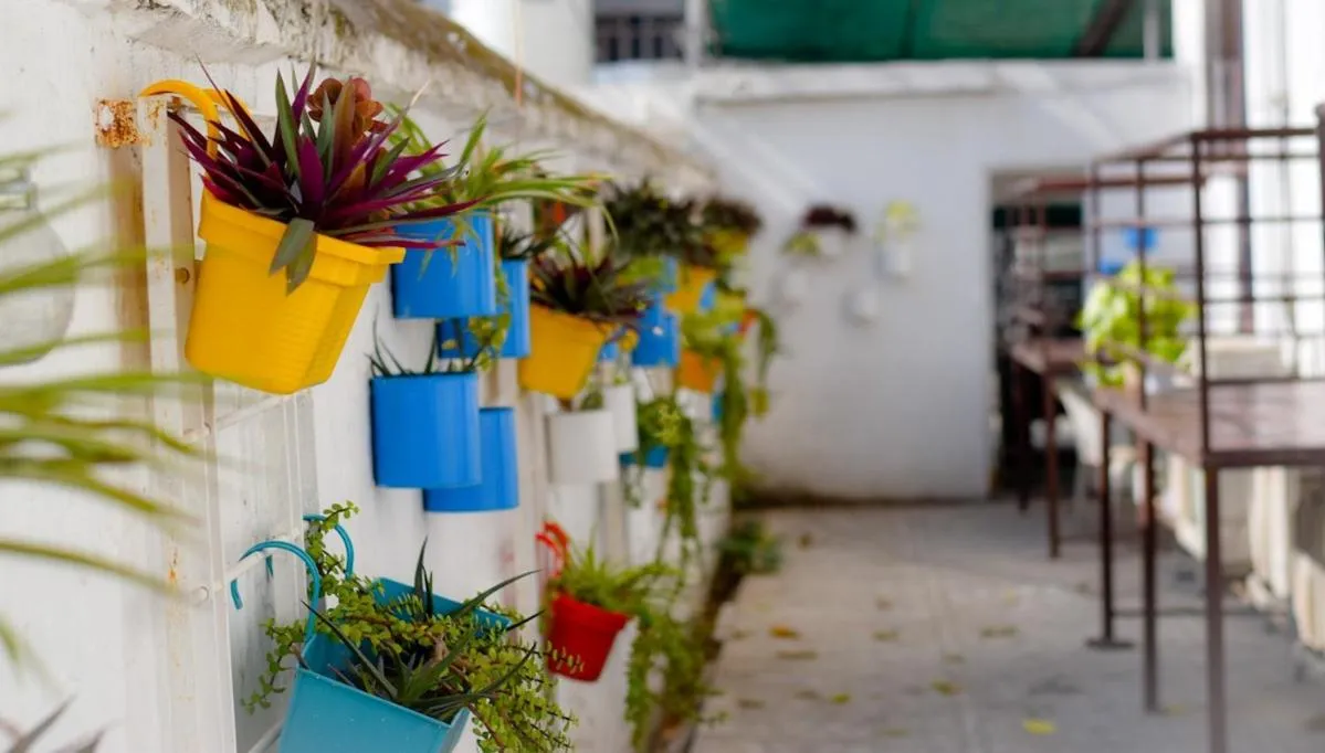 Balcony/Terrace in Bhola Bhawan Bed and Breakfast