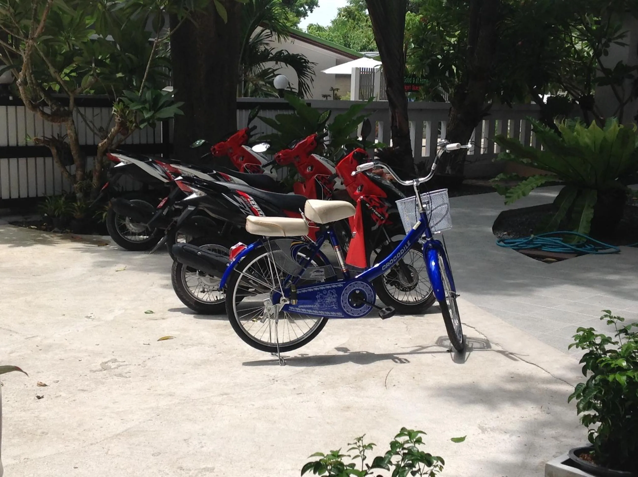 Day in Sandy House Rawai