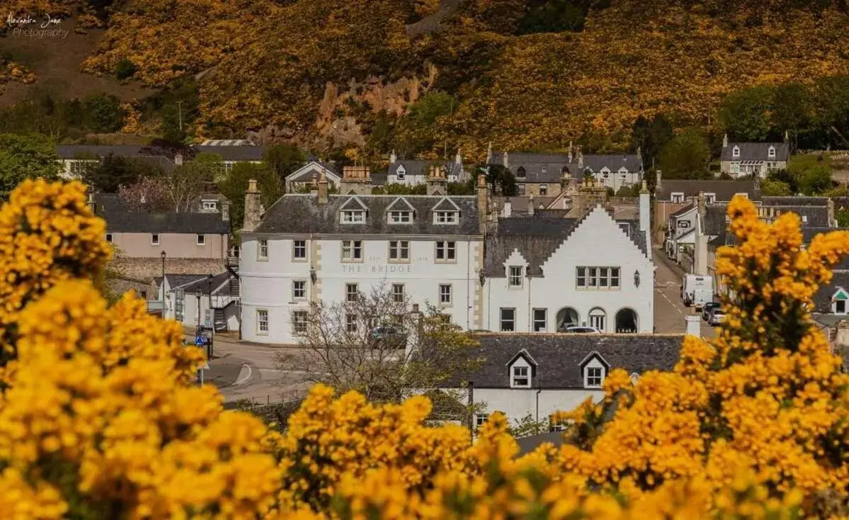 The Bridge Helmsdale The Bridge Helmsdale