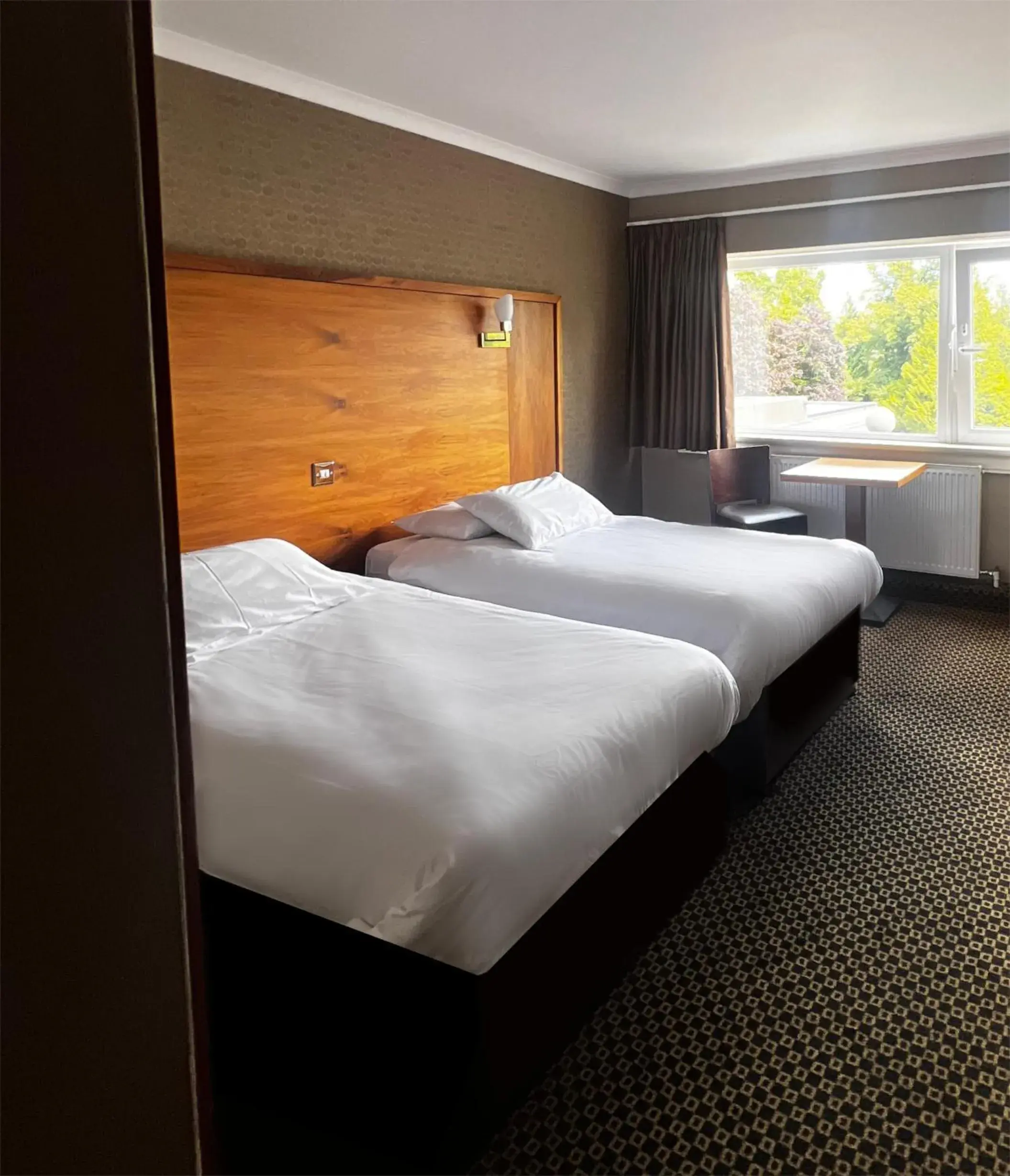 Twin Room - single occupancy in Park Hotel Twin Room - single occupancy in Park Hotel