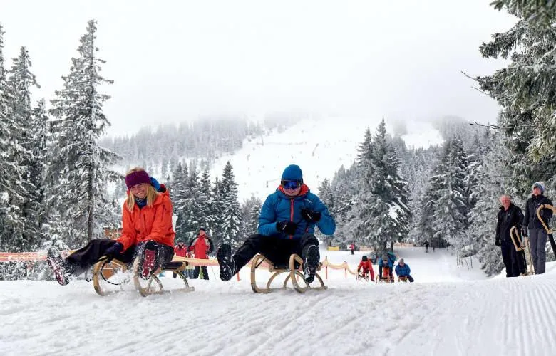 Activities in Arberland Tagungshaus