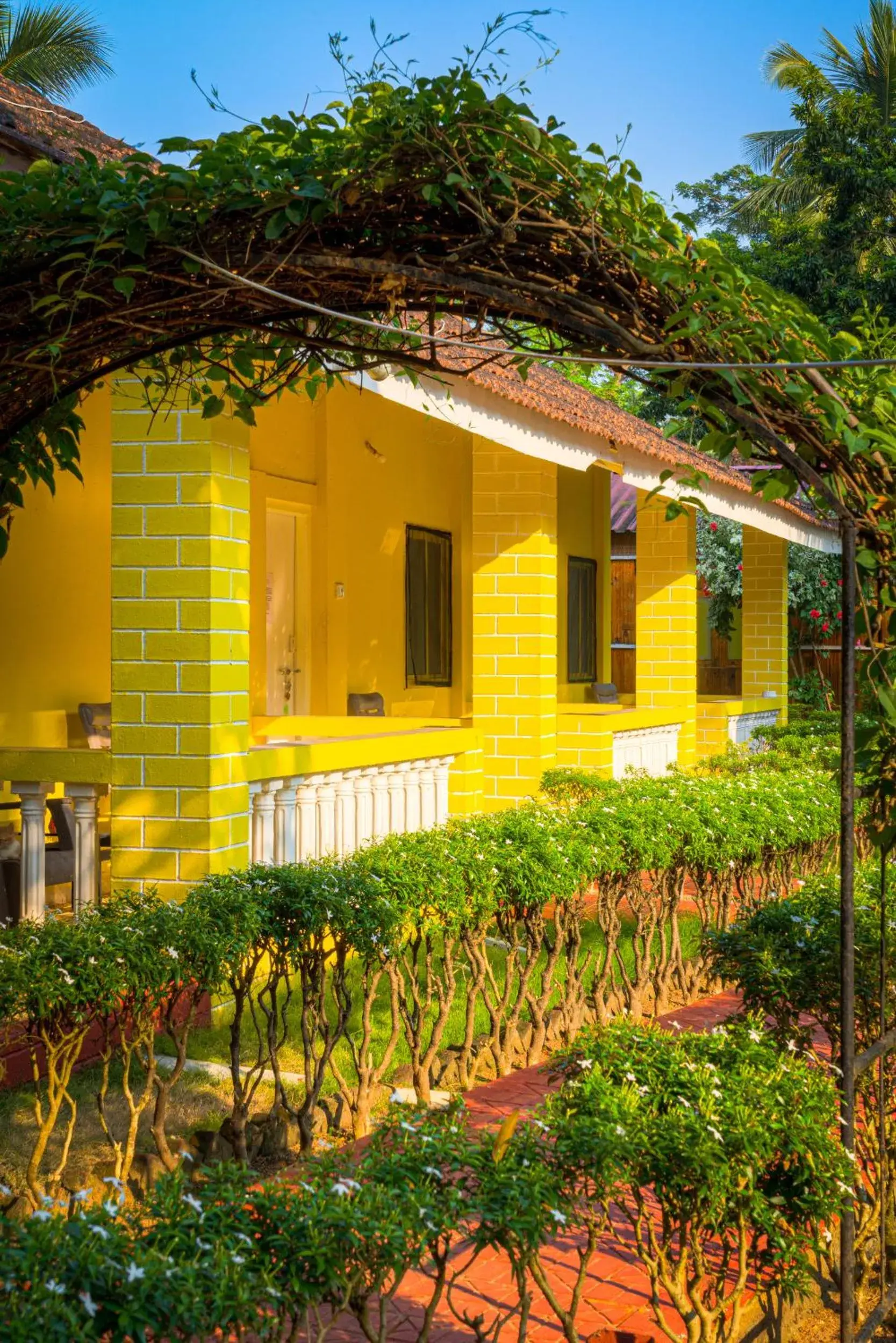 Standard Double or Twin Room in Palolem Beach Resort Standard Double or Twin Room in Palolem Beach Resort