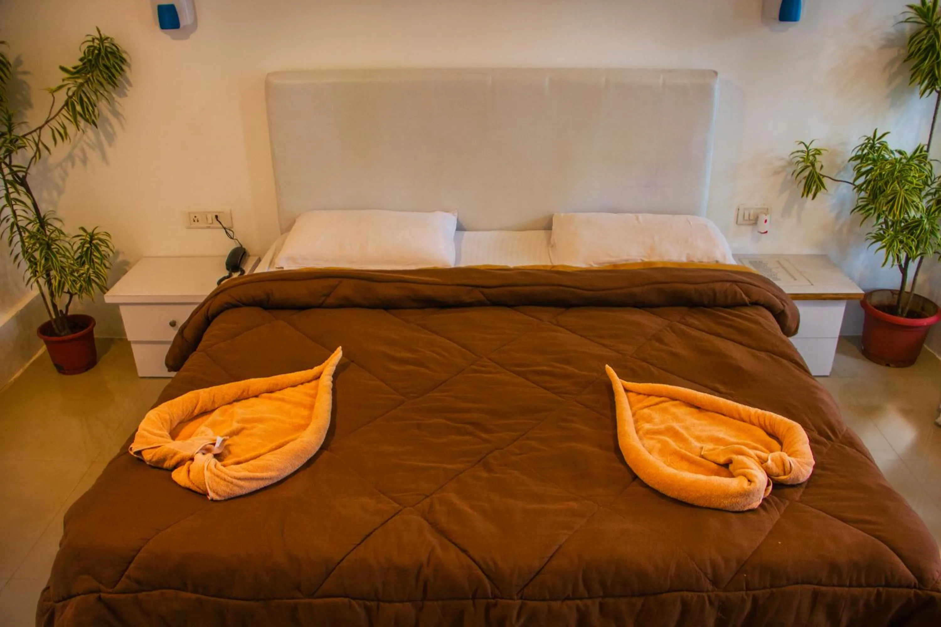 Palolem Beach Resort