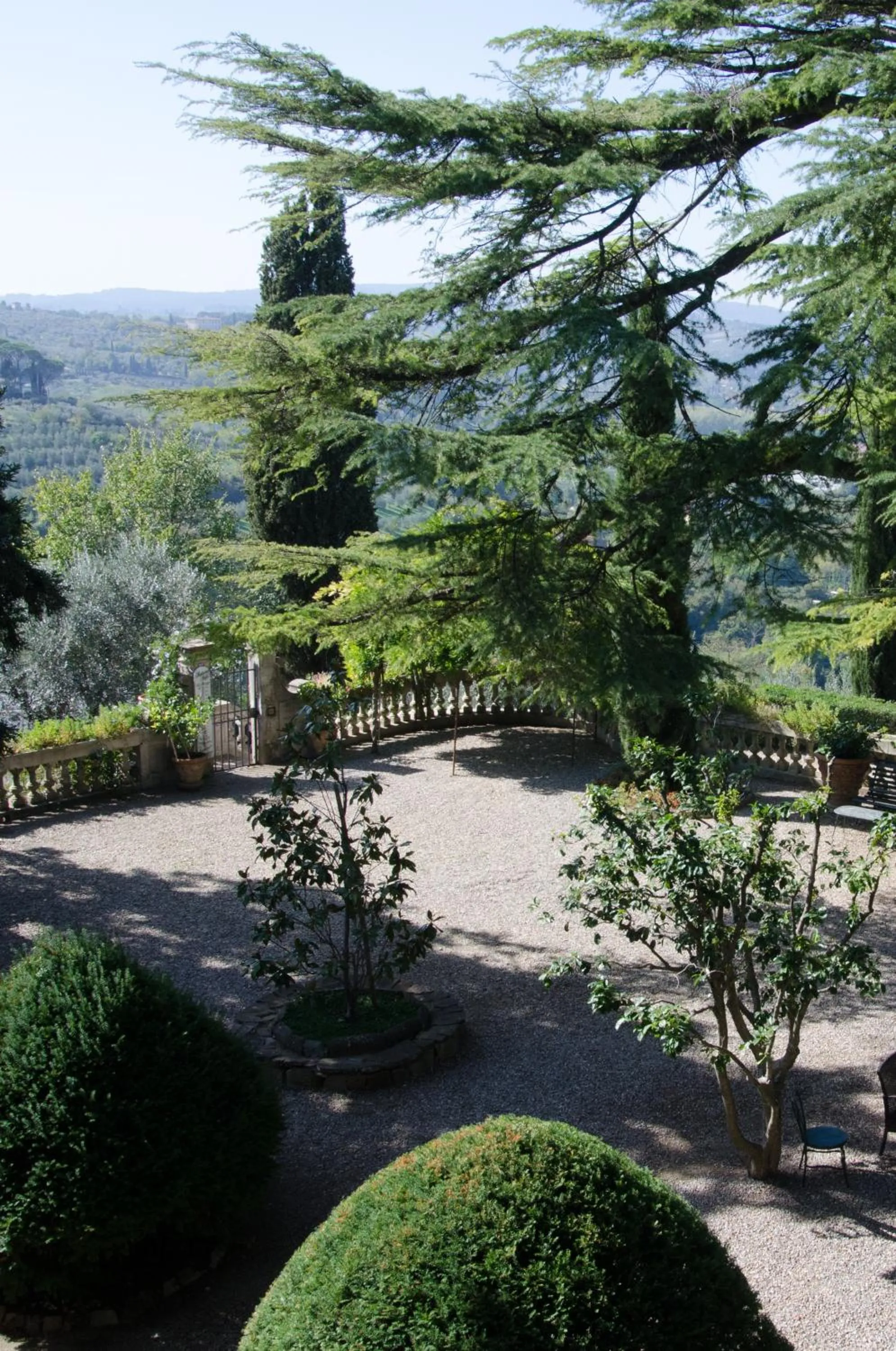 Natural landscape in Villa La Piccioncina Firenze