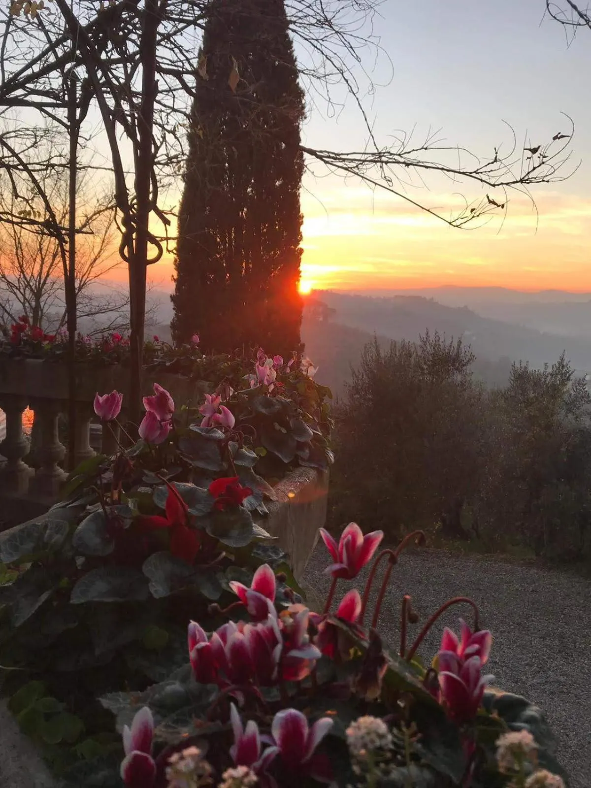 Natural landscape in Villa La Piccioncina Firenze