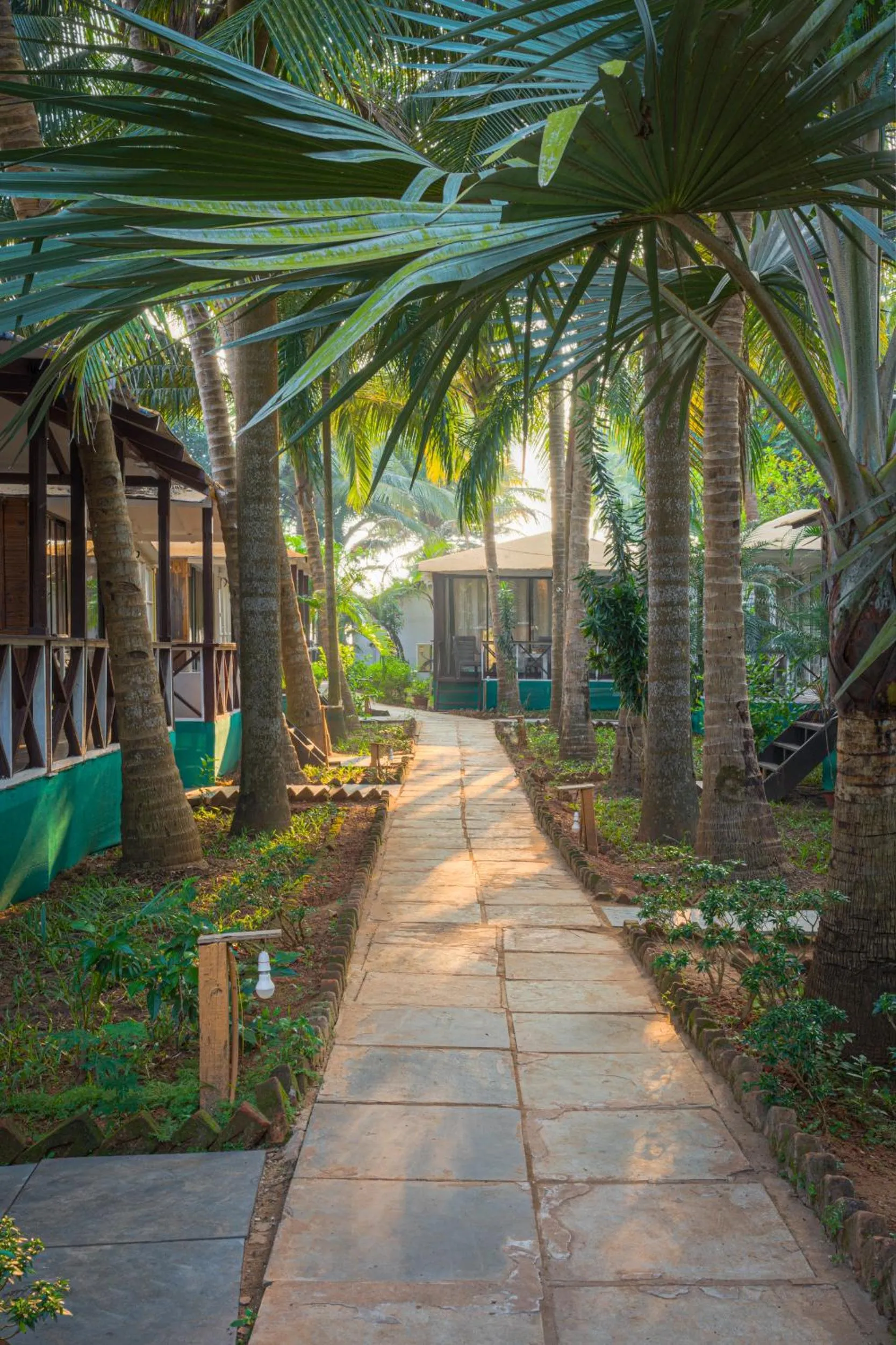 Natural landscape in Cuba Patnem