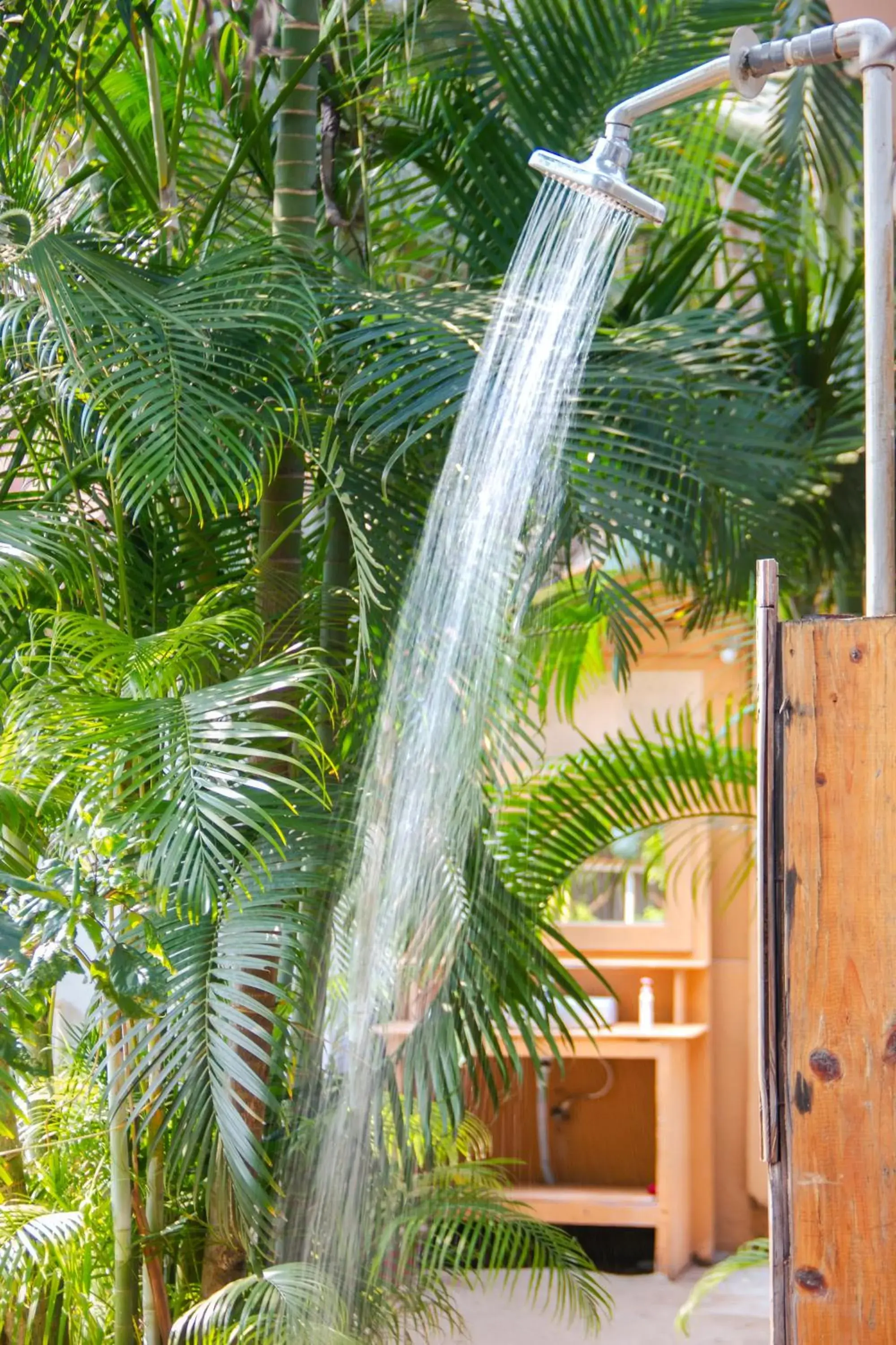 Restaurant/places to eat in Cuba Patnem Restaurant/places to eat in Cuba Patnem