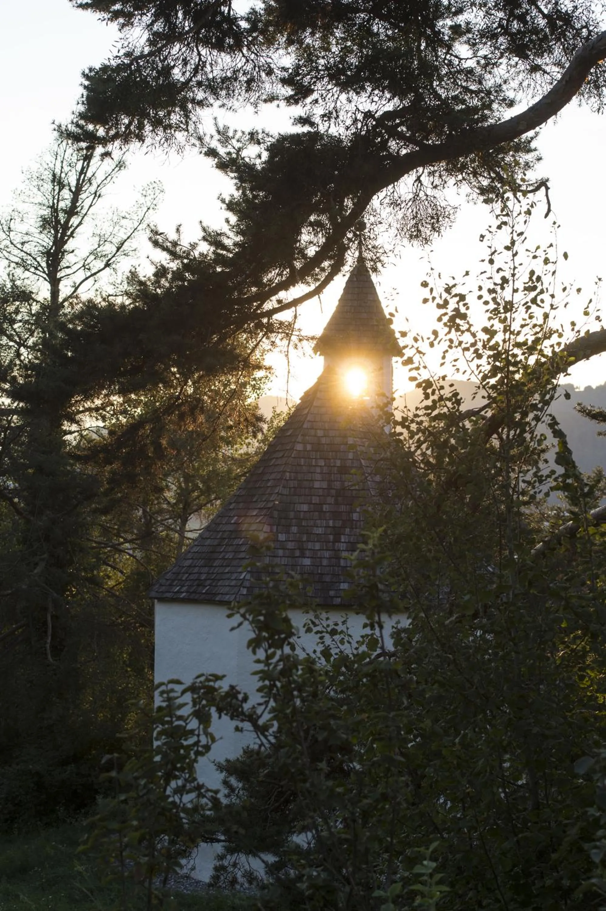Natural landscape in Hotel St. Anton