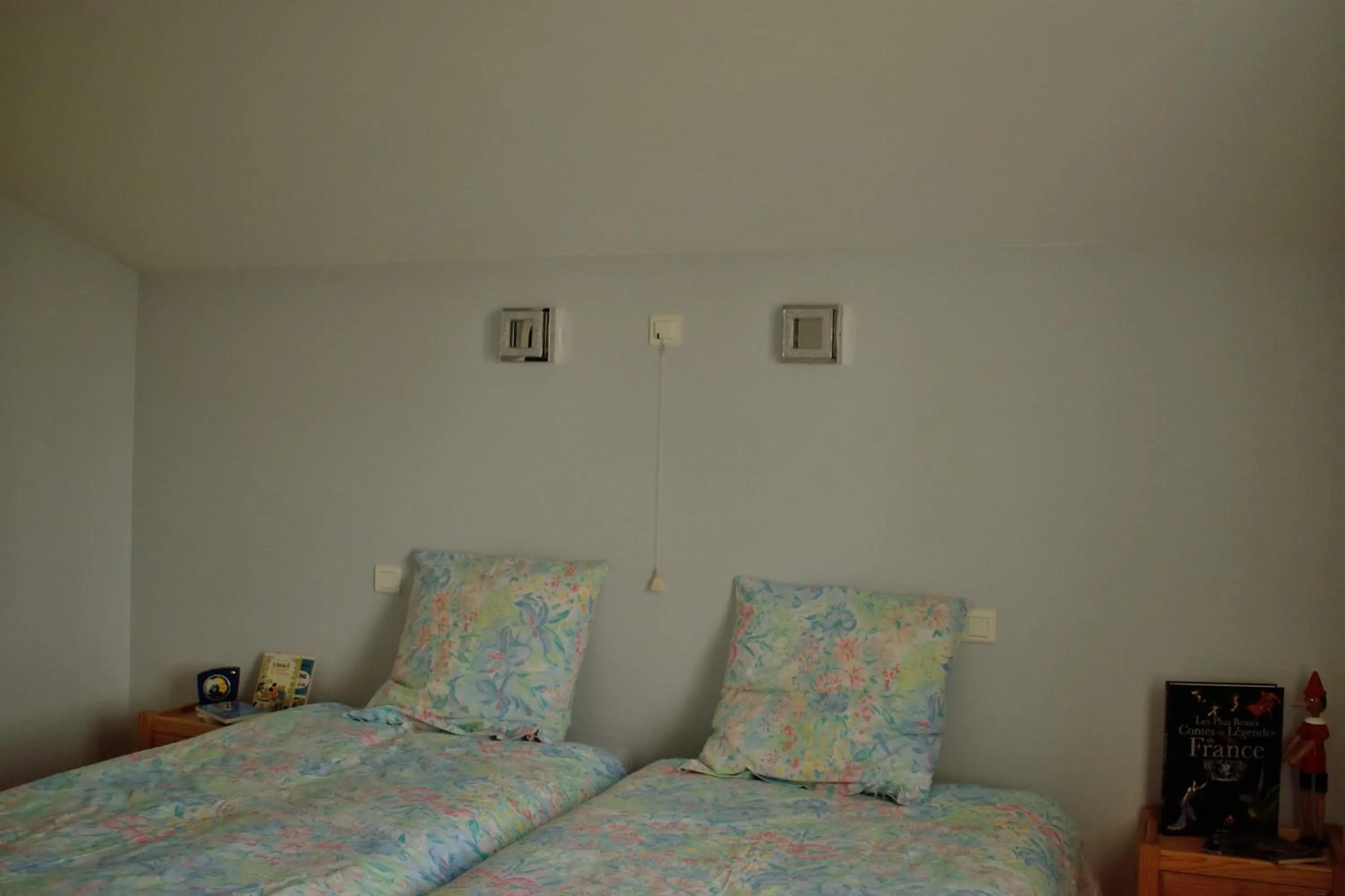 Photo of the whole room, Bed in La Cascadeta