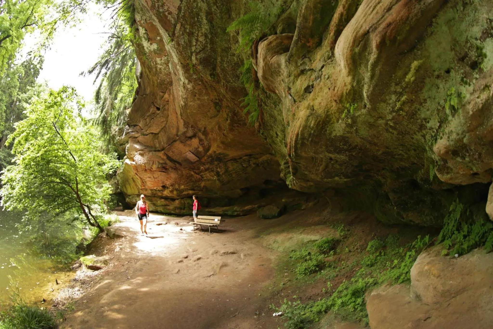 Hiking in Hotel Harbauer