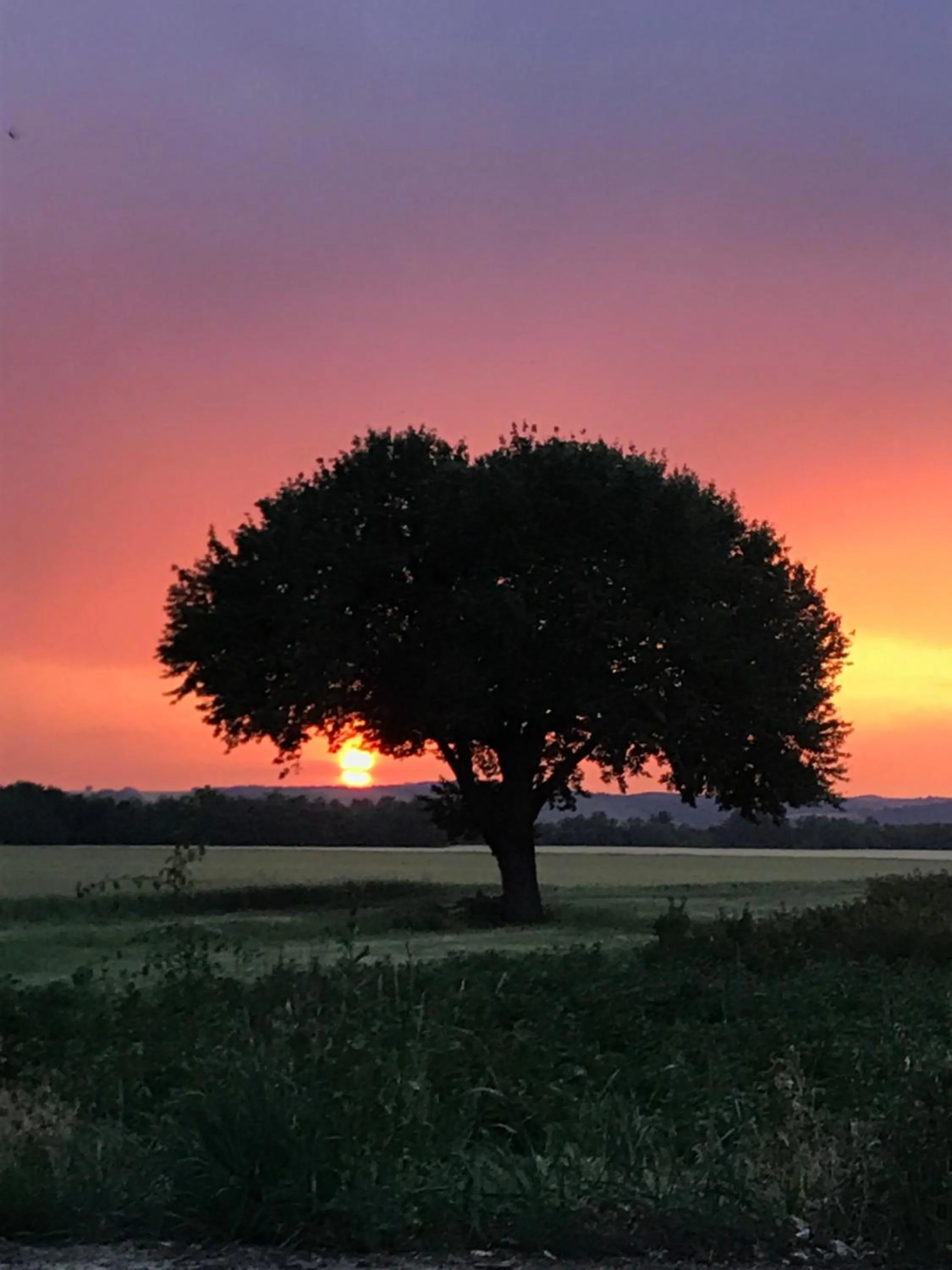 Property building in Korona Panzió