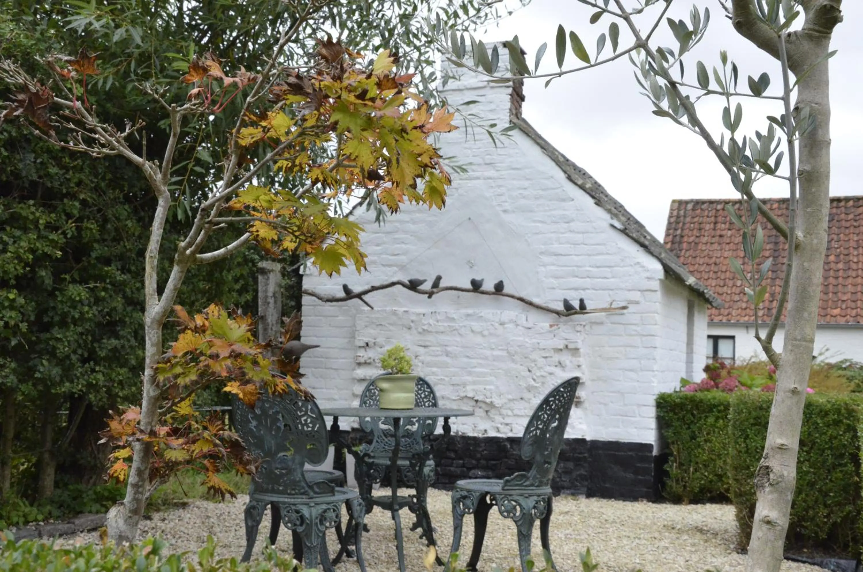 Garden in Stee 23