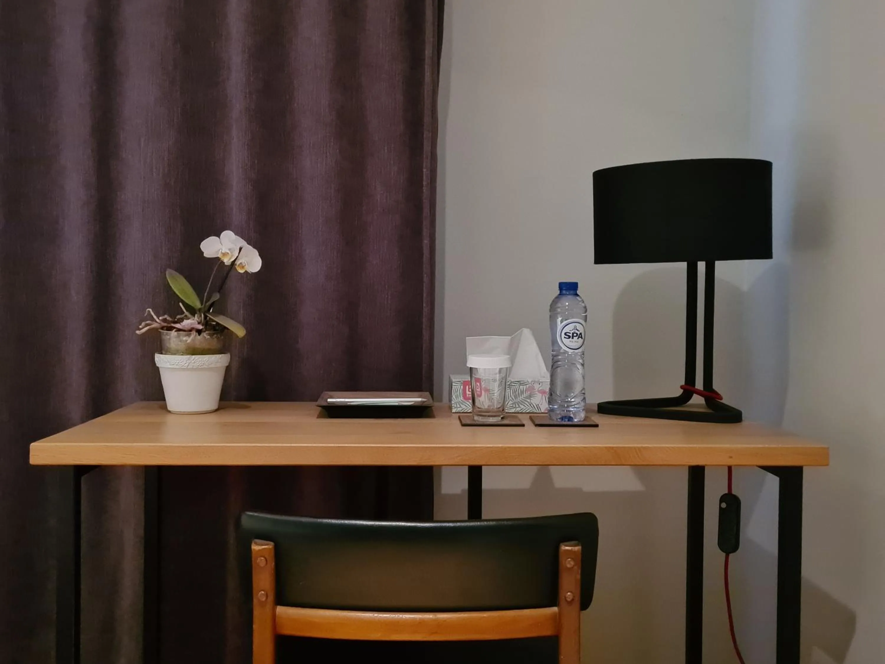 Business facilities in B&B A Côté du Cinquantenaire