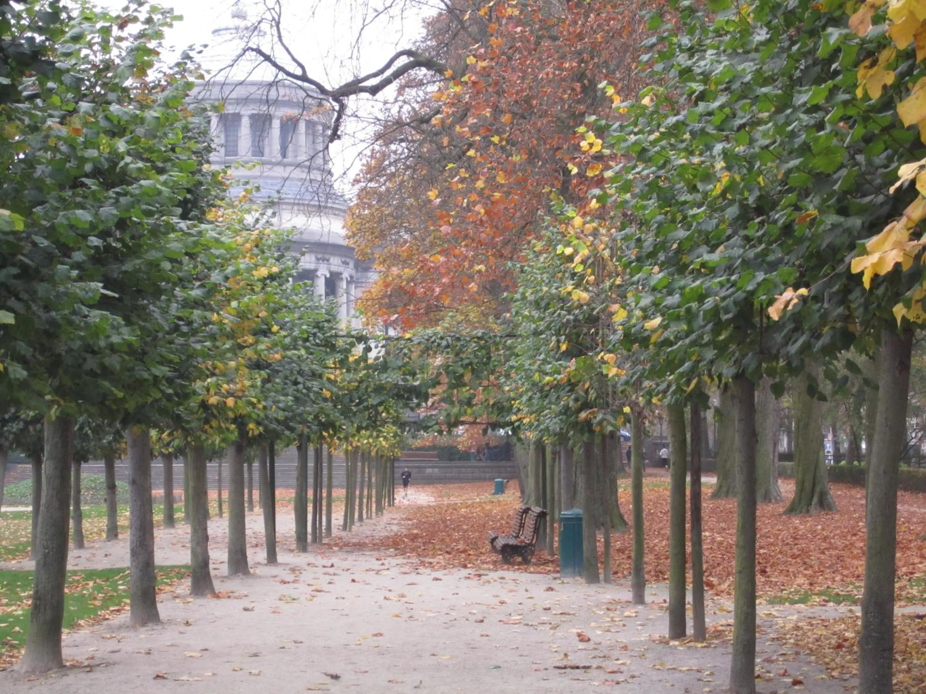 Area and facilities in B&B A Côté du Cinquantenaire