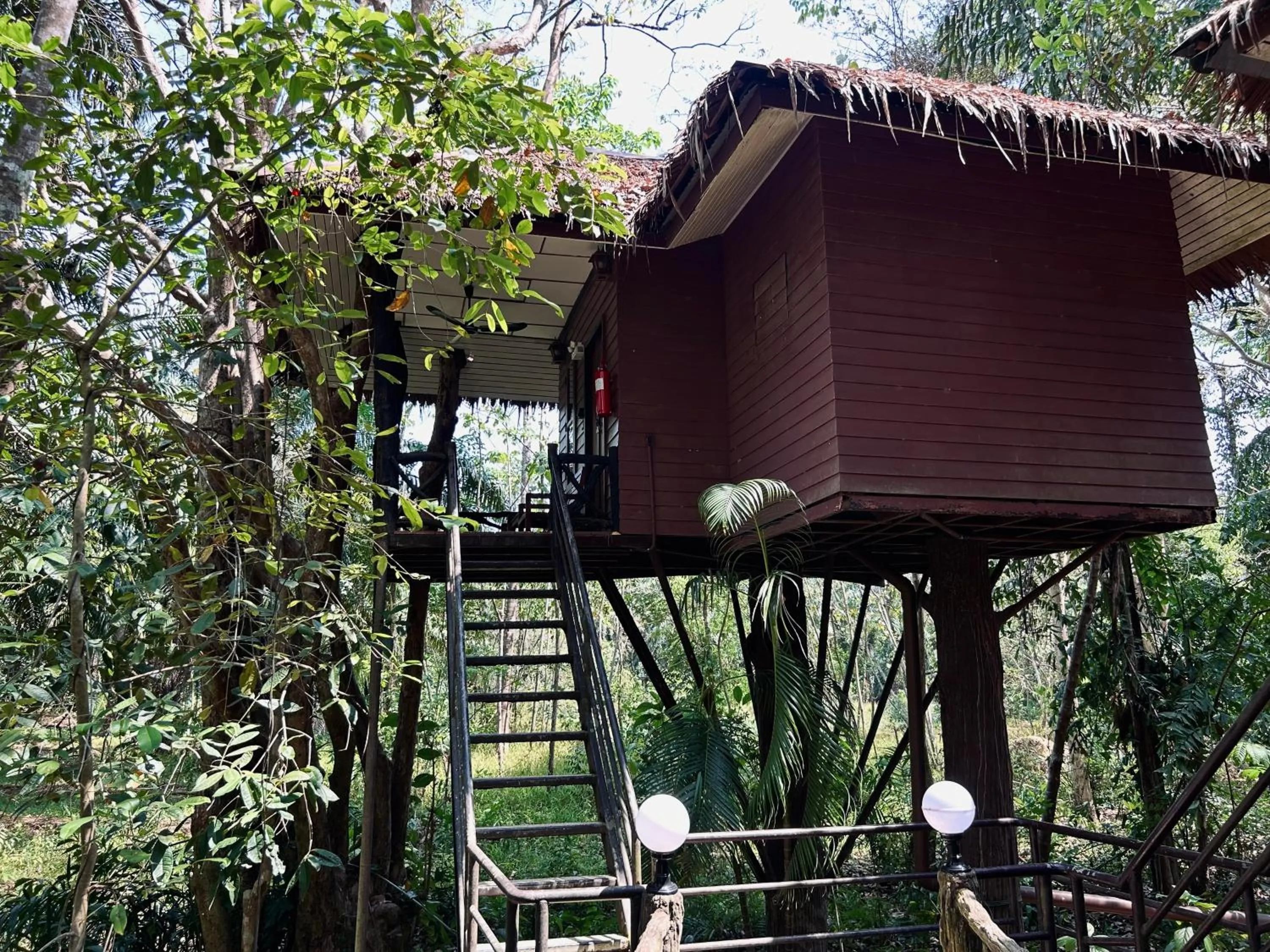 Property building in Khao Sok Paradise Resort