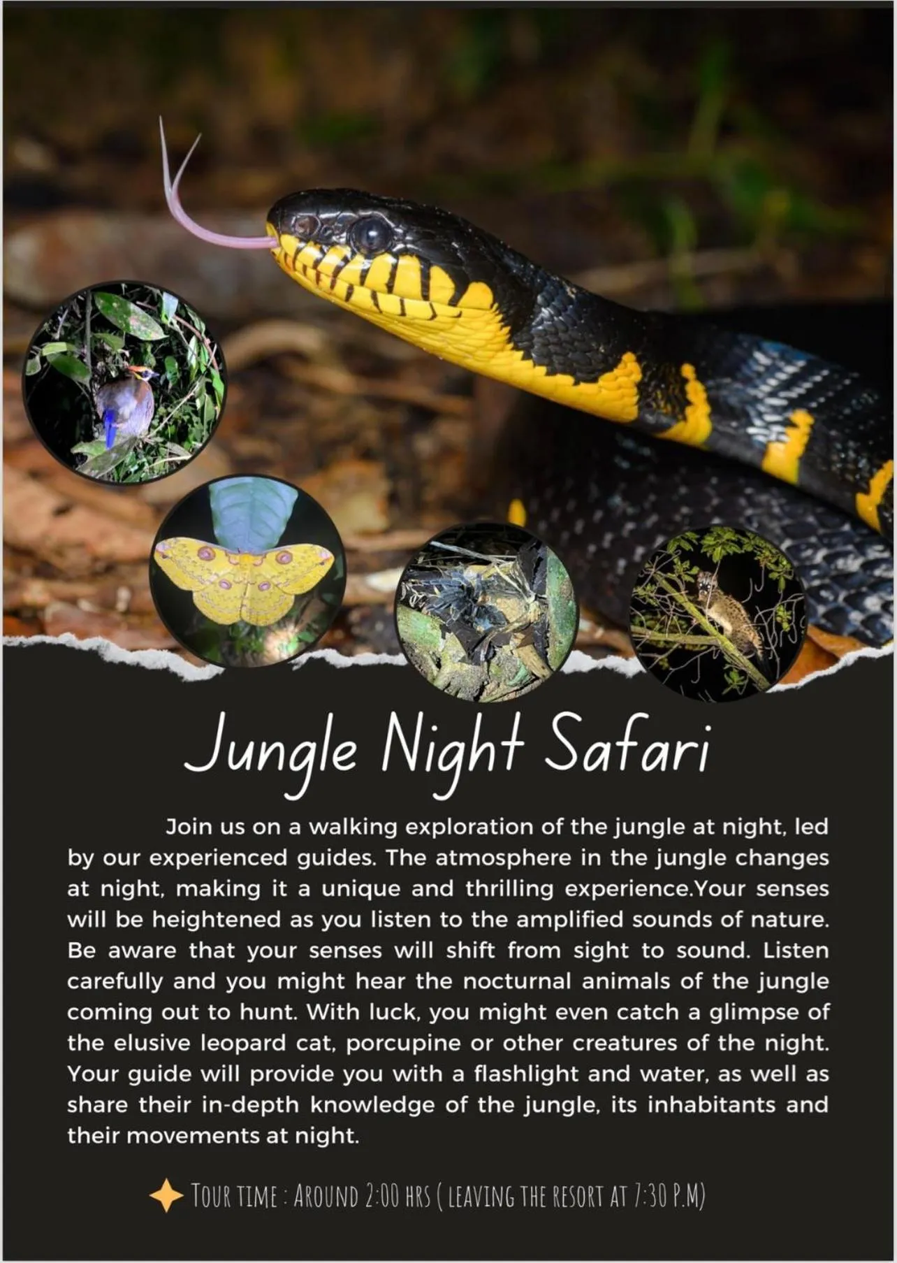 Khao Sok Paradise Resort