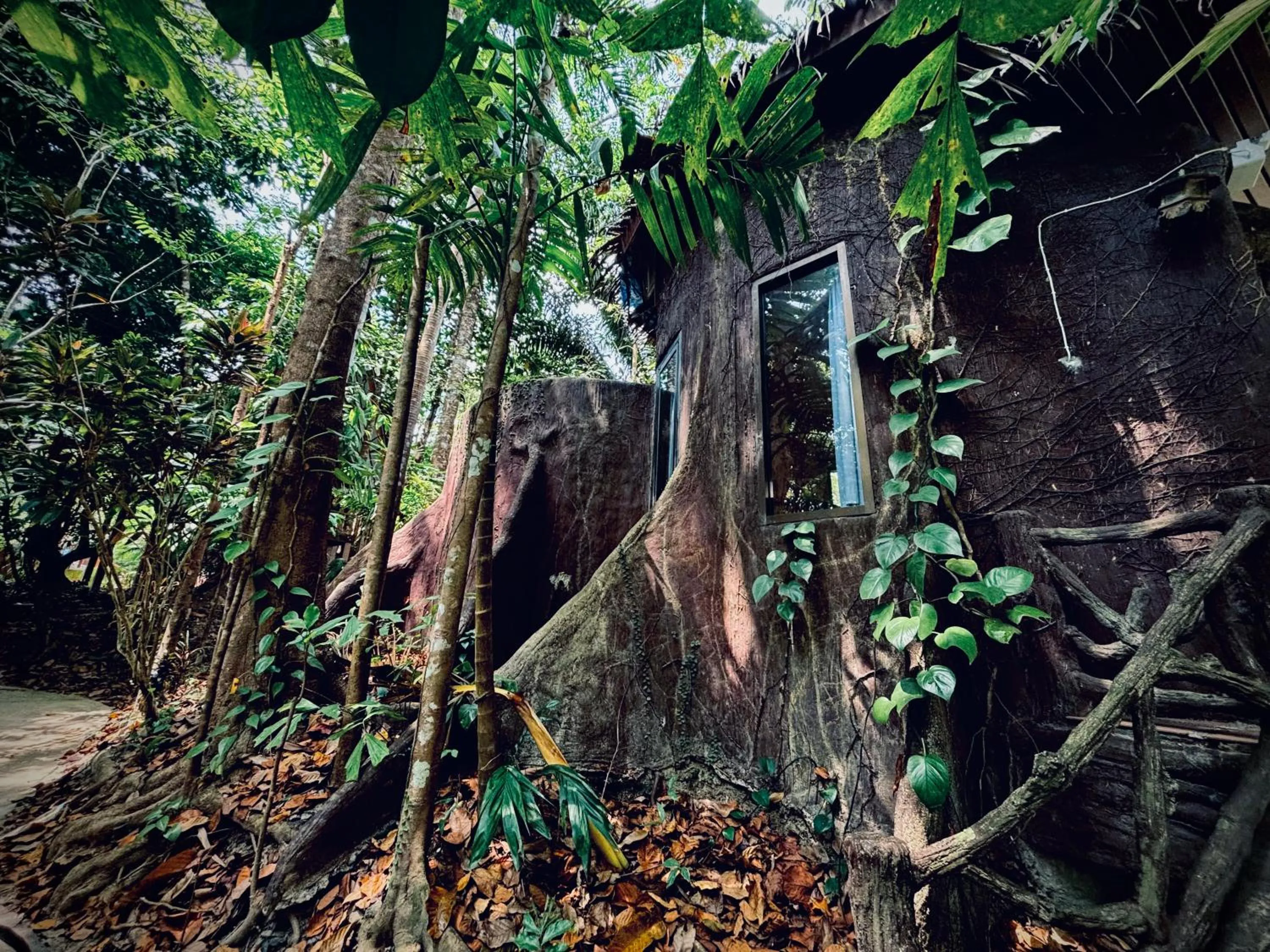 Natural landscape in Khao Sok Paradise Resort