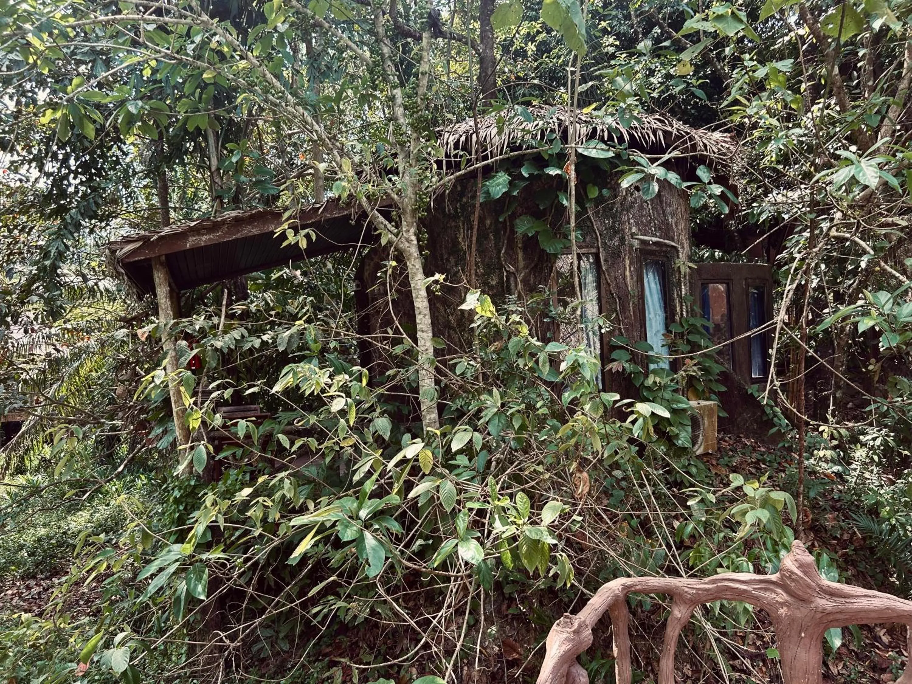 Property building in Khao Sok Paradise Resort