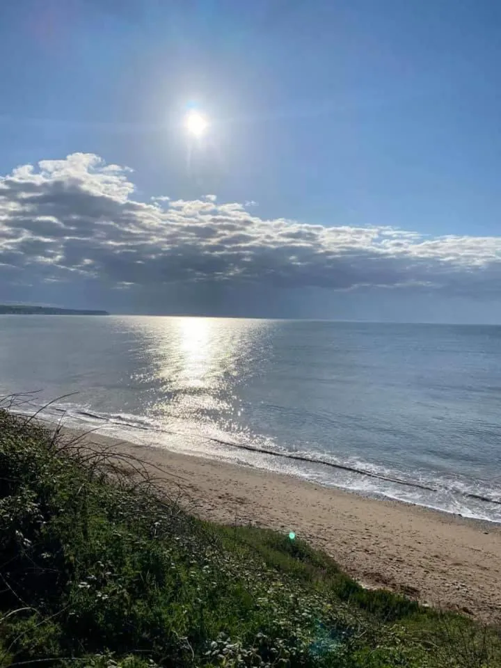 Beach in Revelstoke Hotel