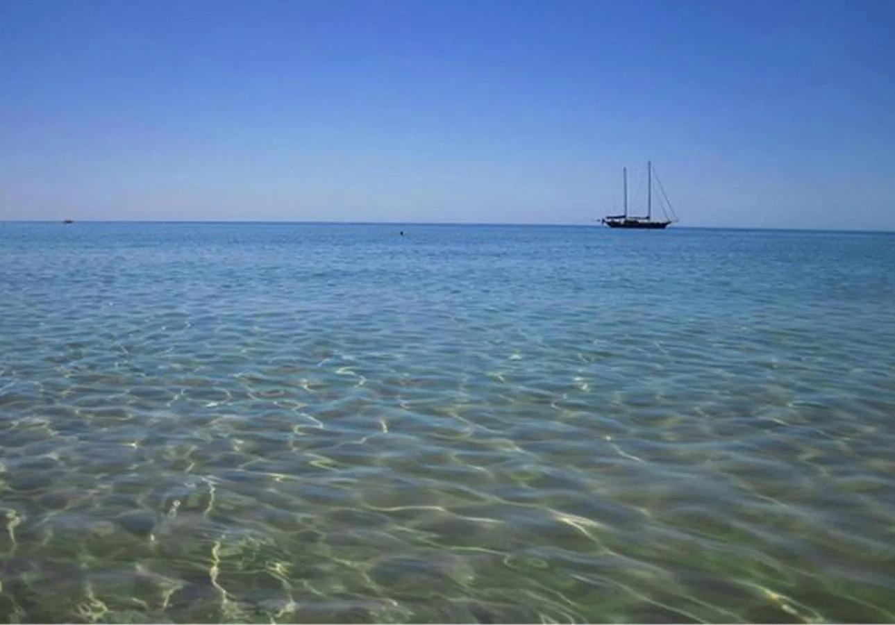 Natural landscape in Butterfly B&B