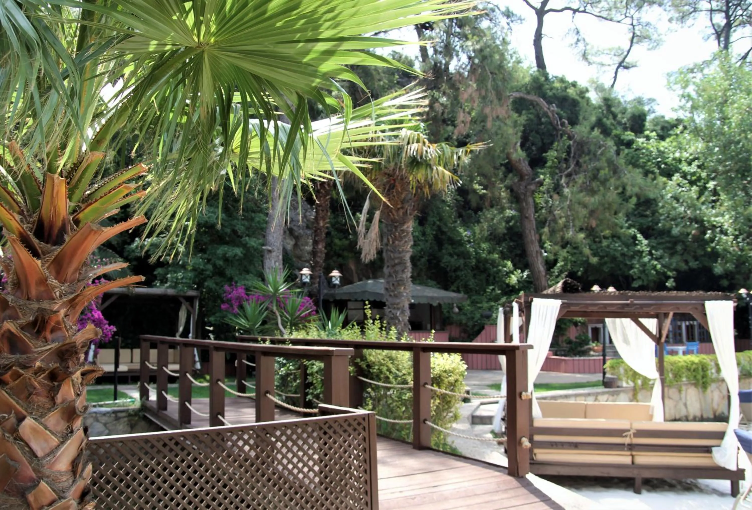 Garden in Baga Hotel