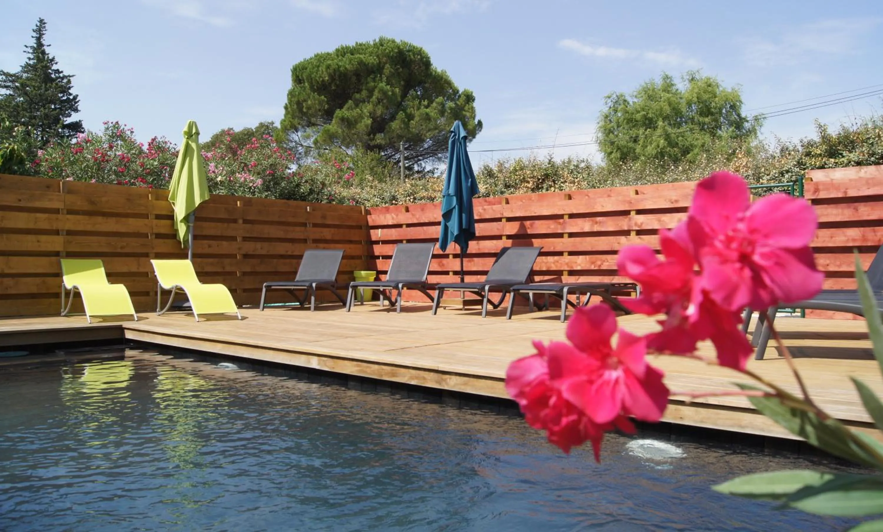 Swimming pool in La Bastide de l'Olivier