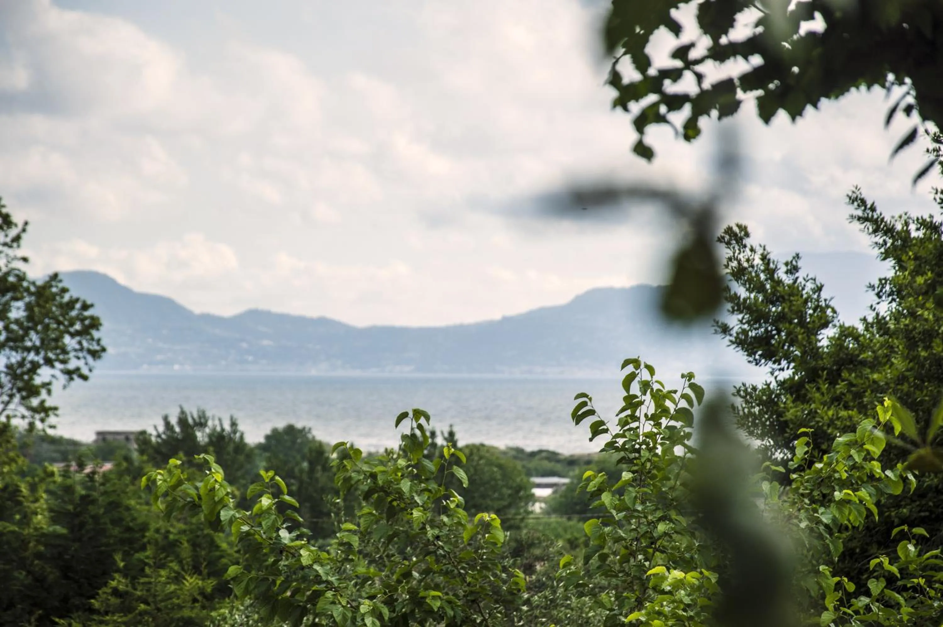 Property building in Lemontree House Bacoli