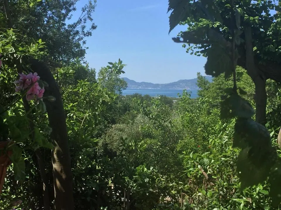 Property building in Lemontree House Bacoli