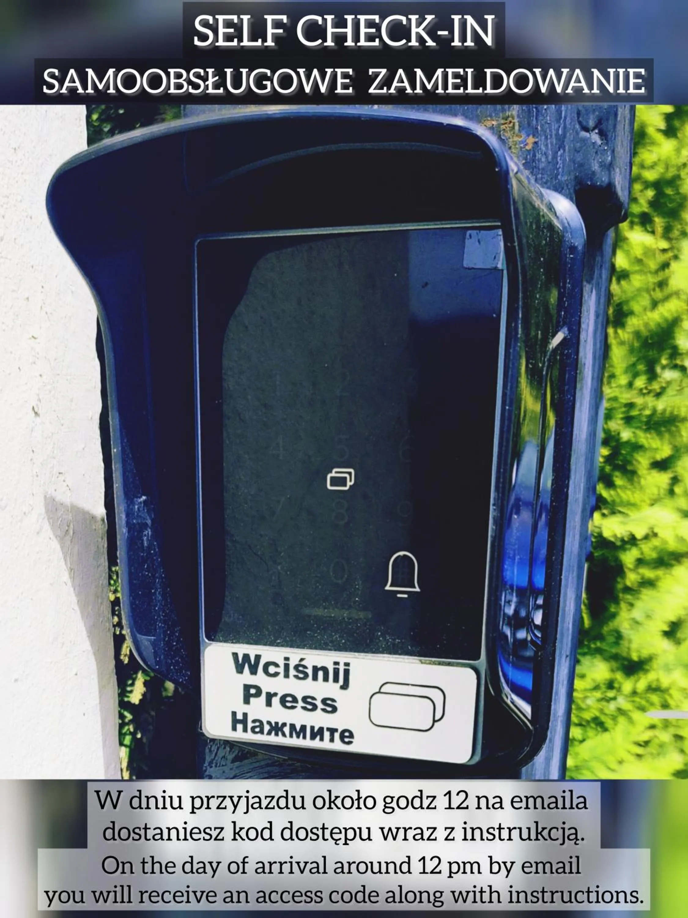 Biały Słoń