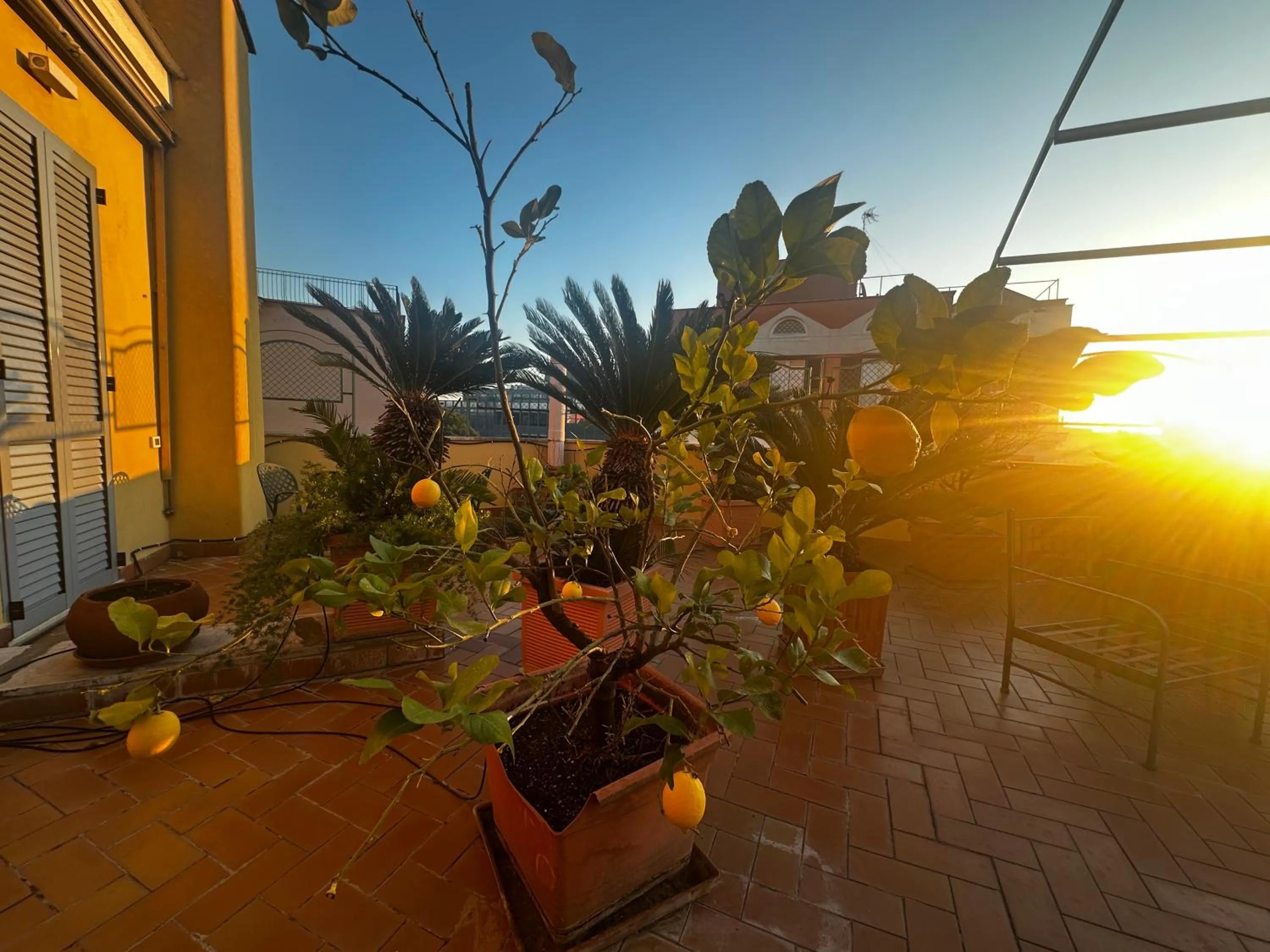 Garden in All Comfort Astoria Palace