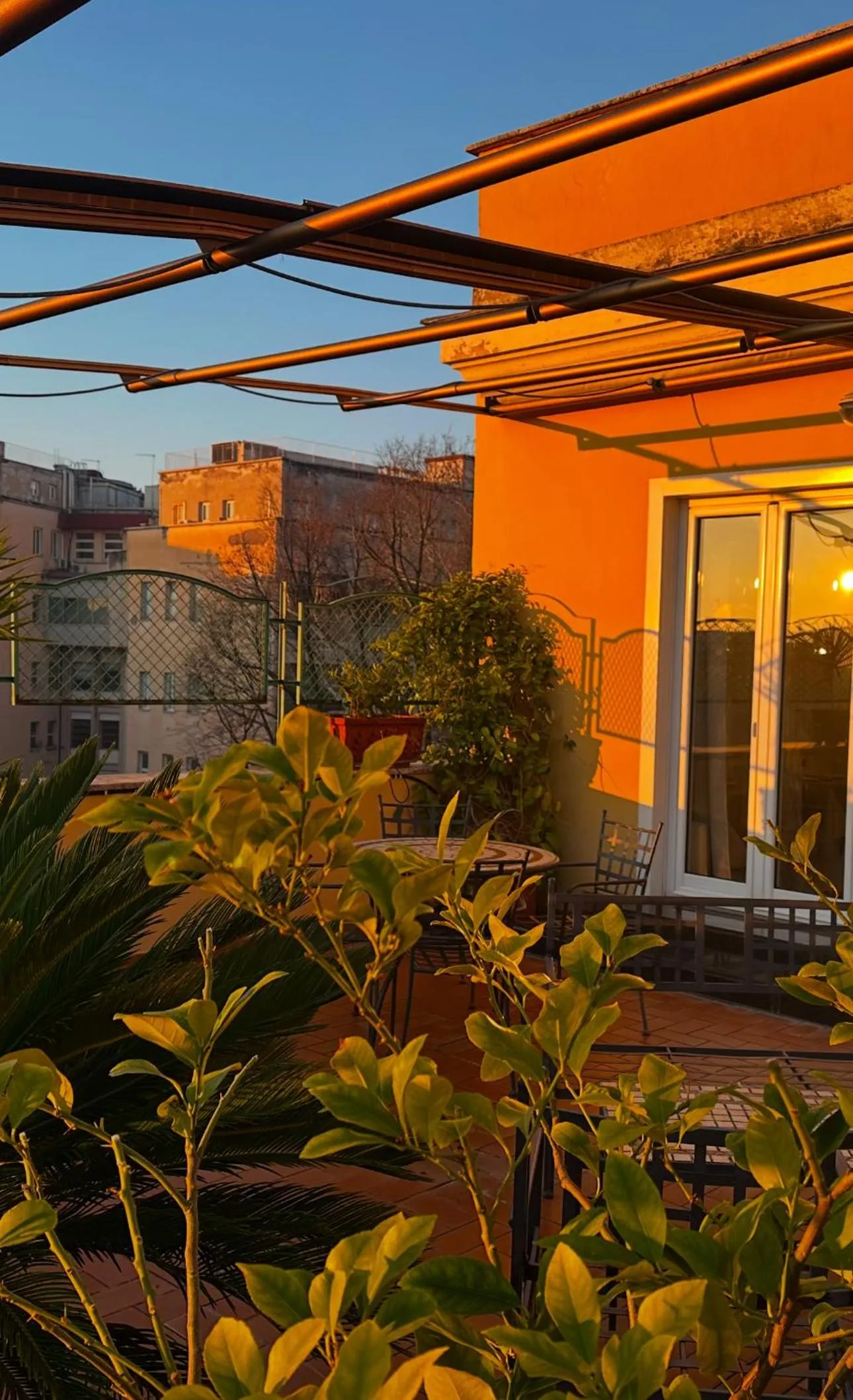 Garden in All Comfort Astoria Palace