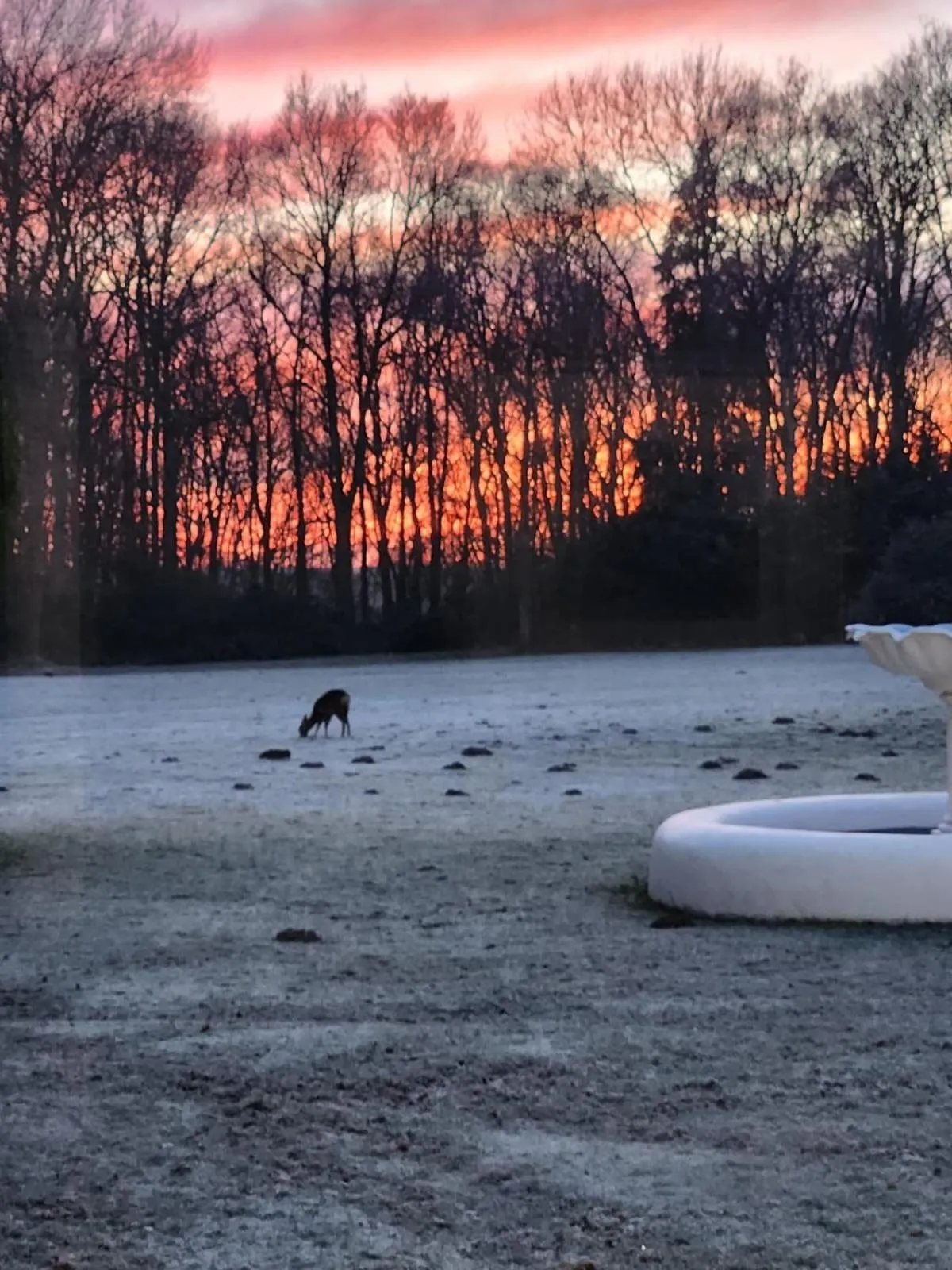 Garden in DoubleTree by Hilton St. Anne's Manor