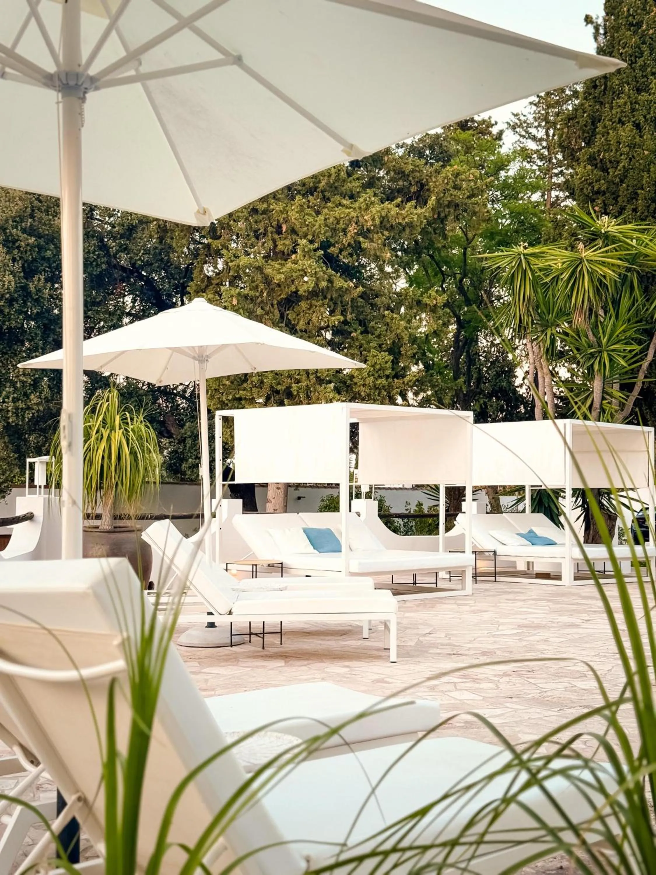 Swimming pool in B&B Casa Luz del Sur, adults only