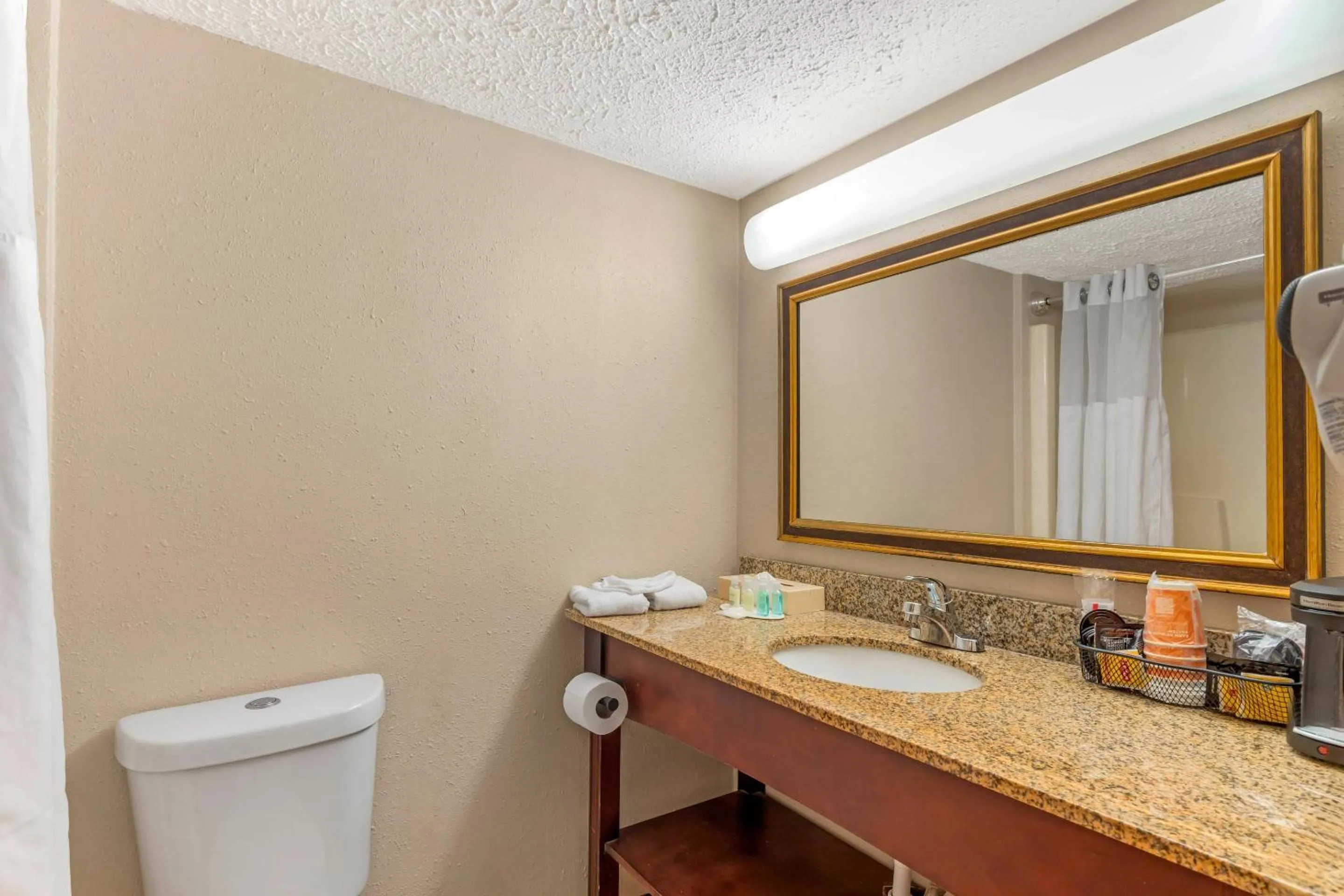 Bedroom in Clarion Hotel & Conference Center Lansing West