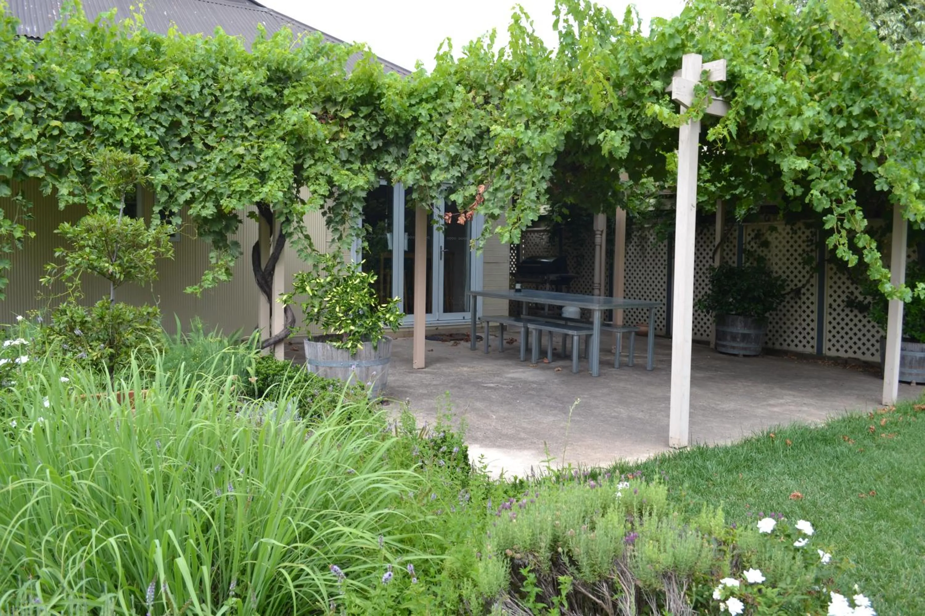 Patio in Tin House in Tanunda