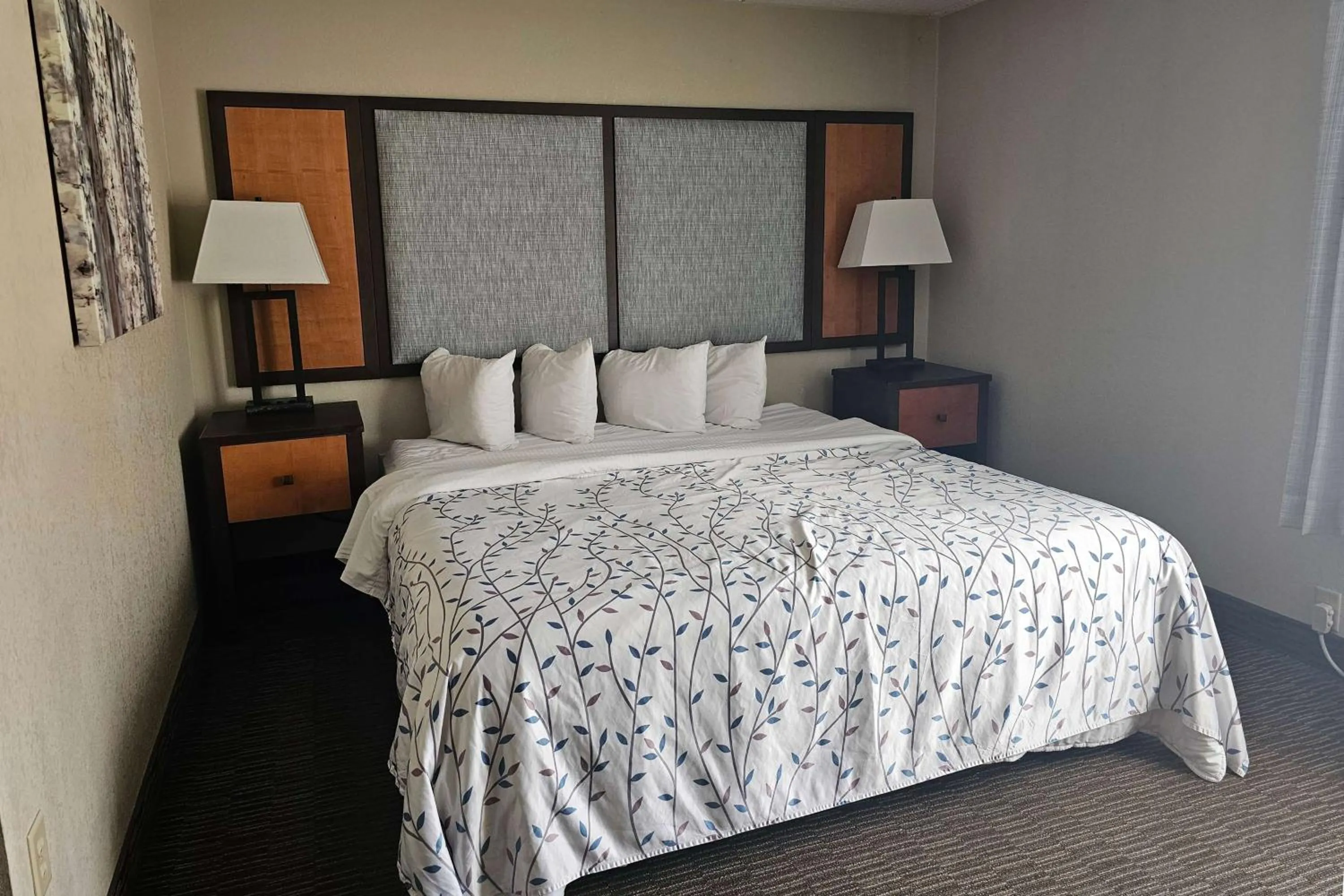 Photo of the whole room, Bed in Americinn by Wyndham Birch Run - Frankenmuth