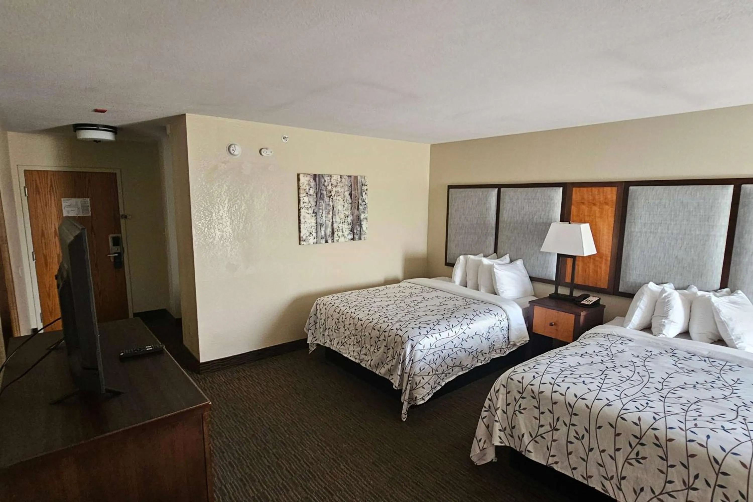 Photo of the whole room, Bed in Americinn by Wyndham Birch Run - Frankenmuth