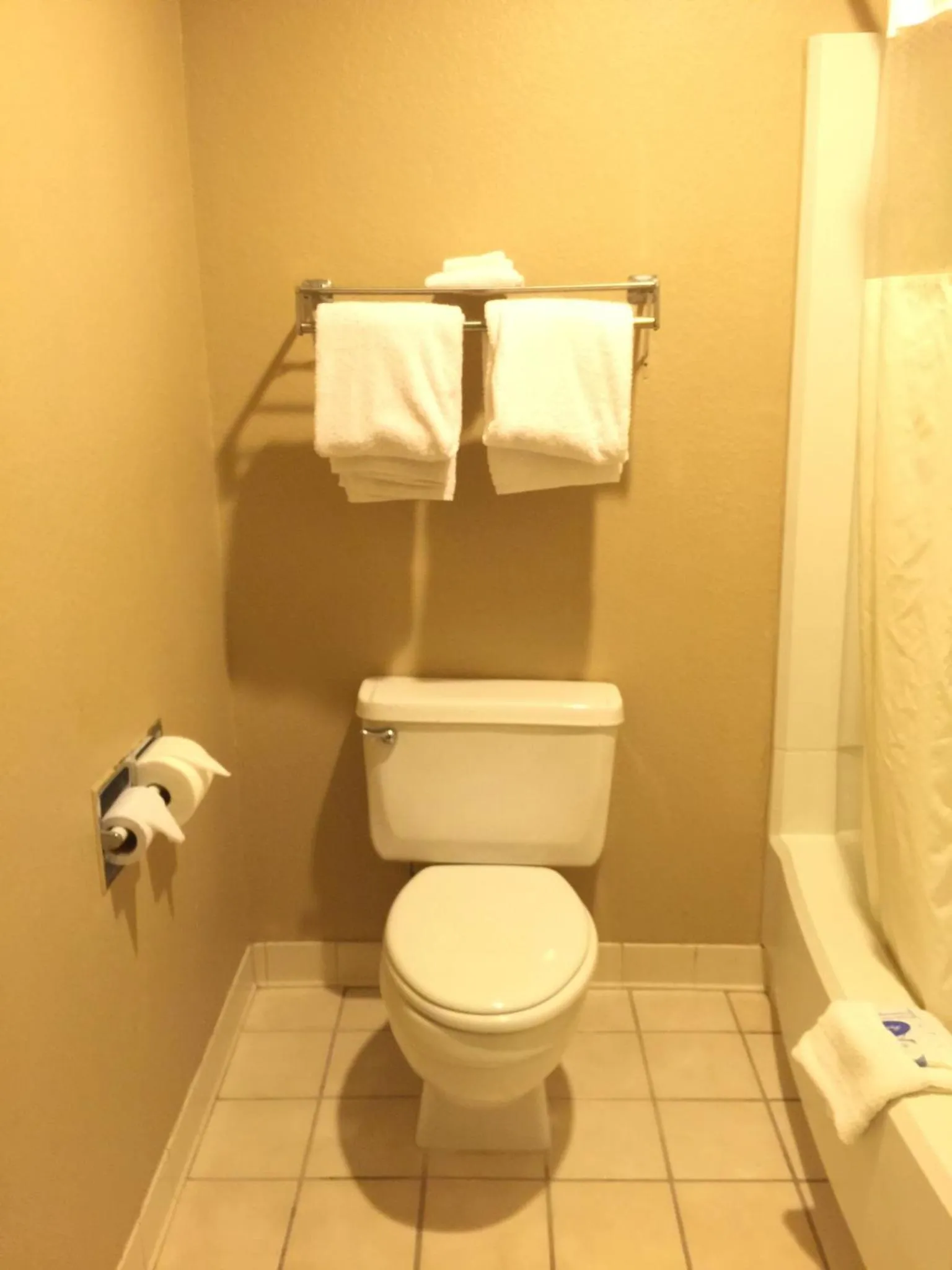 Bathroom in Americas Best Value Inn - Garden City