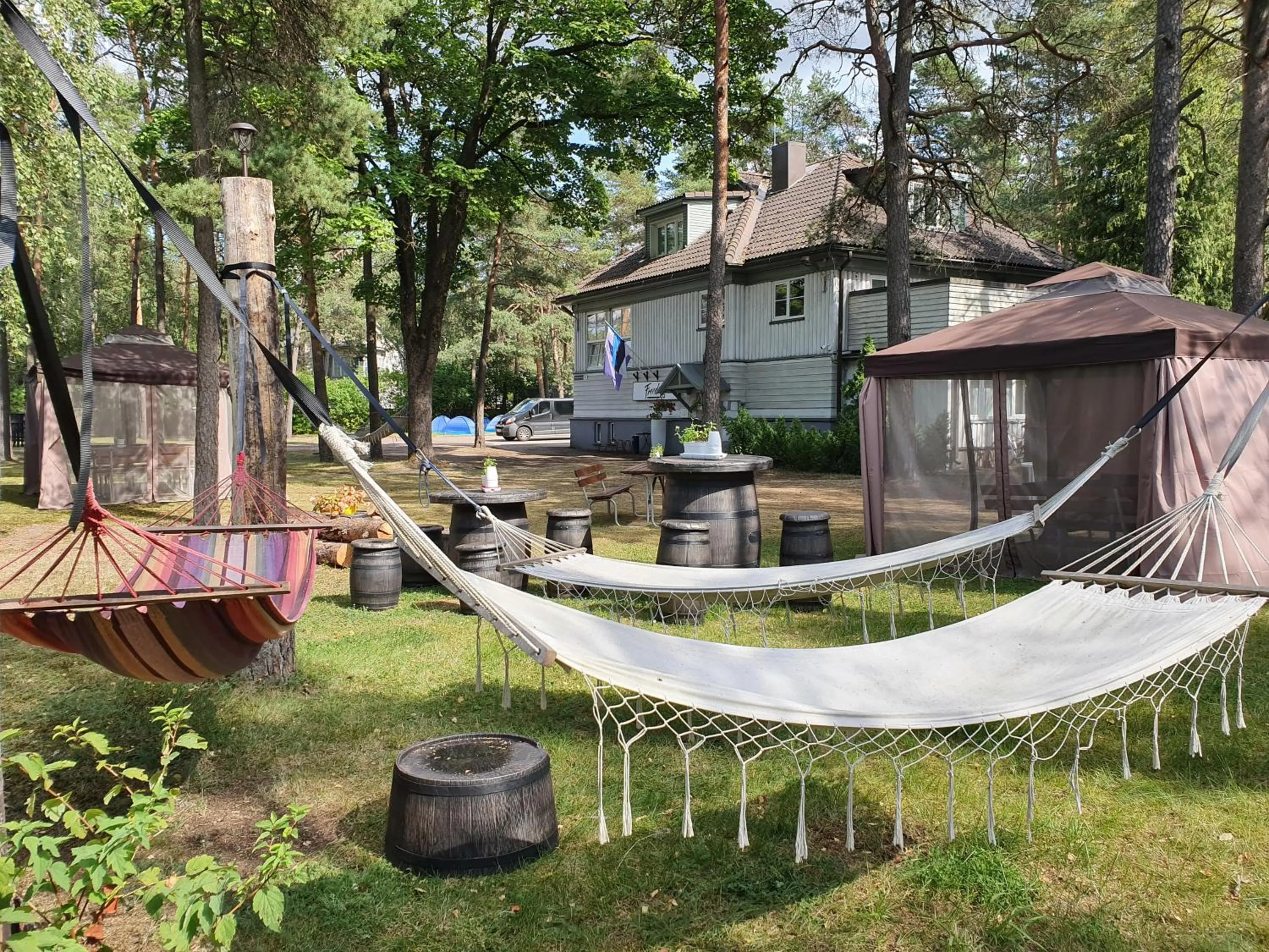 Garden view in Freedom65 Hostel and Caravan