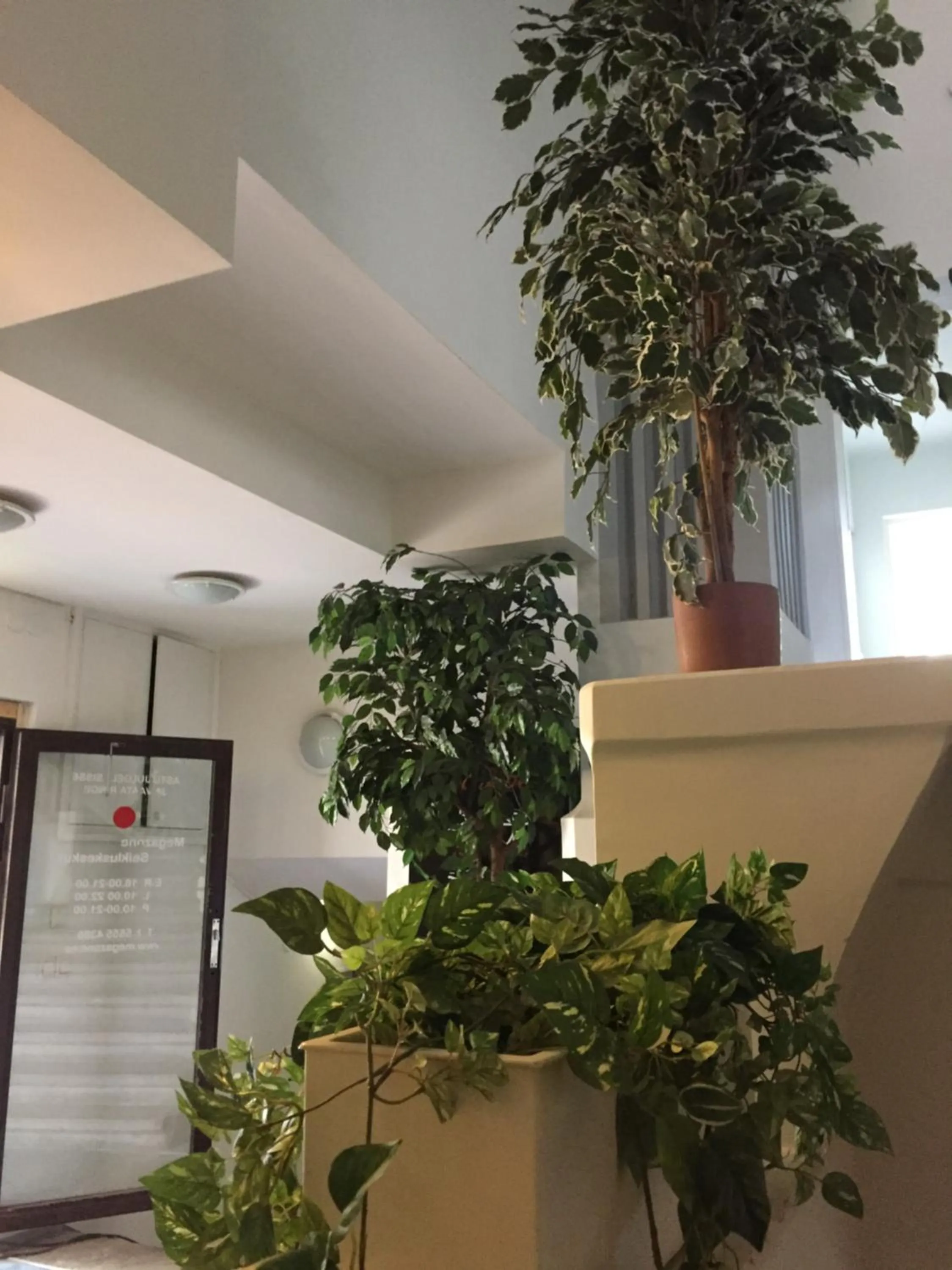 Garden in Freedom65 Hostel and Caravan