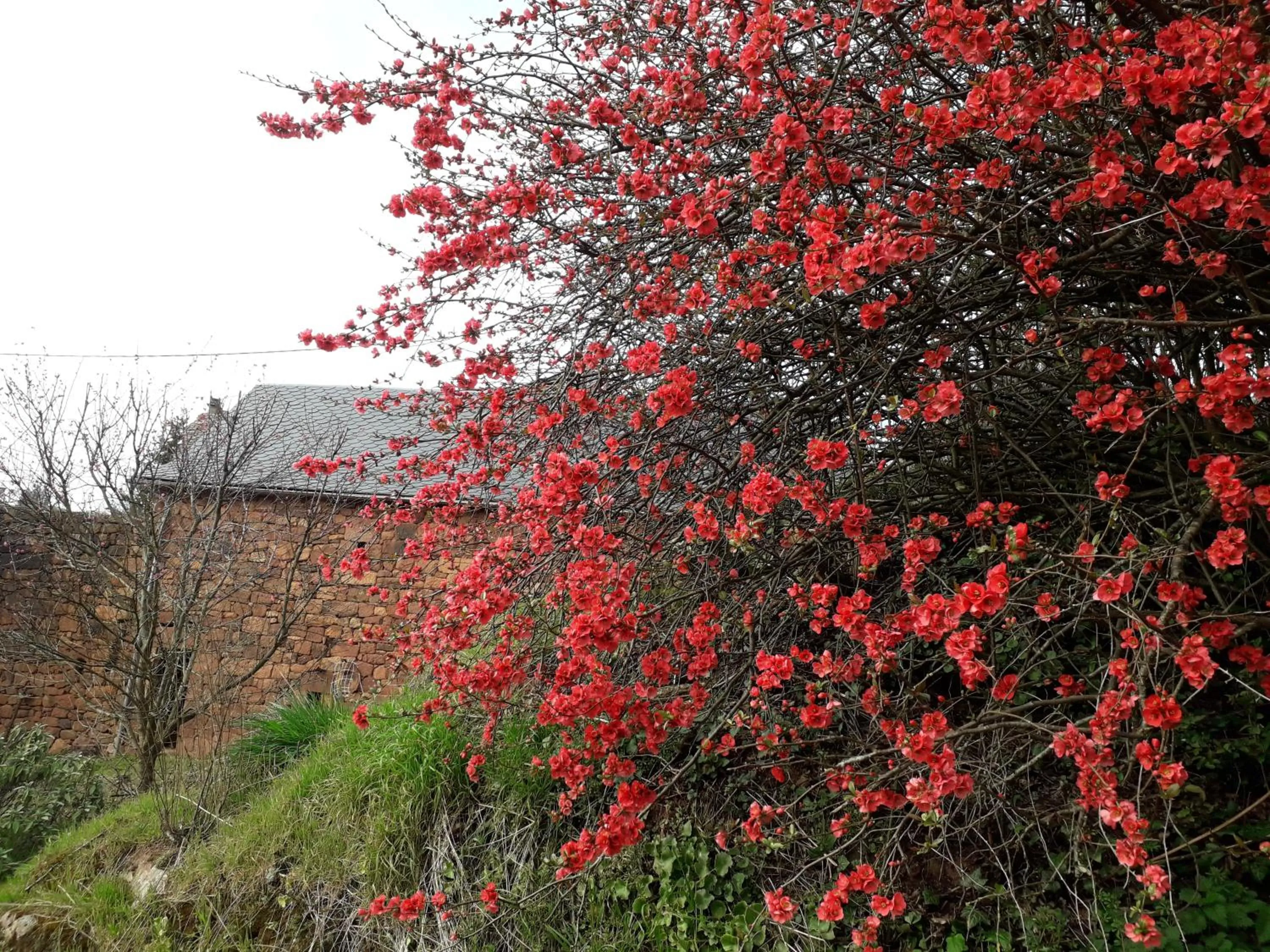 Chambre d'hôtes Le Cascadou