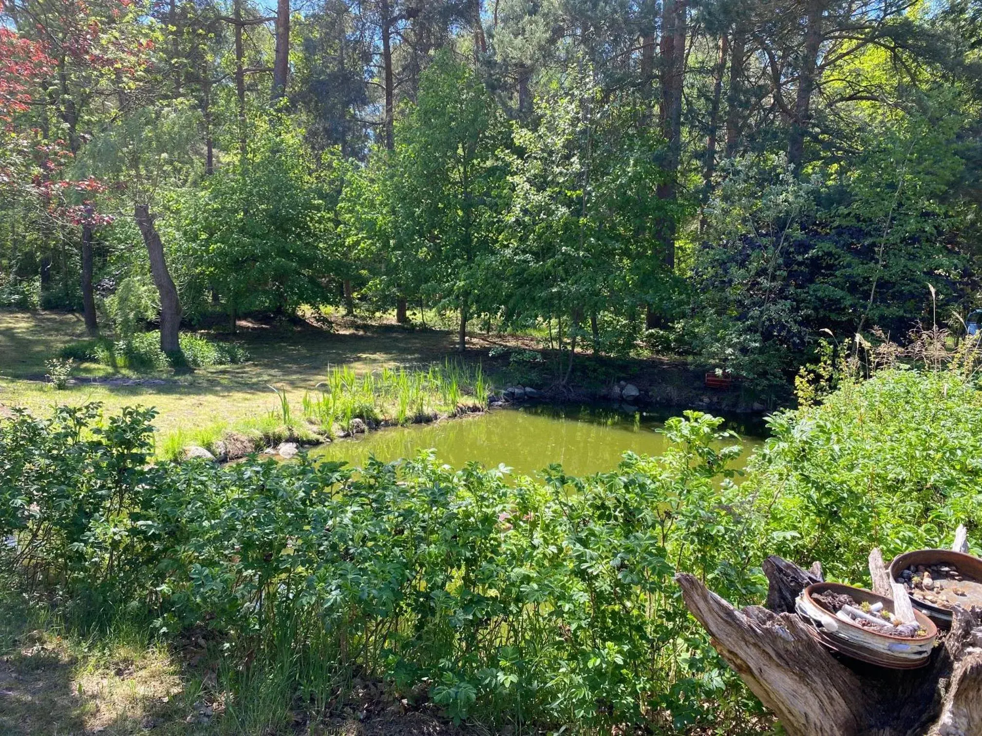 Property building in Waldhotel Property building in Waldhotel