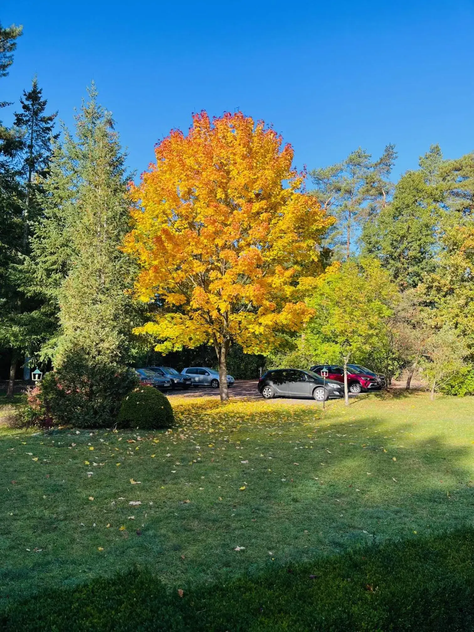 View (from property/room) in Waldhotel View (from property/room) in Waldhotel