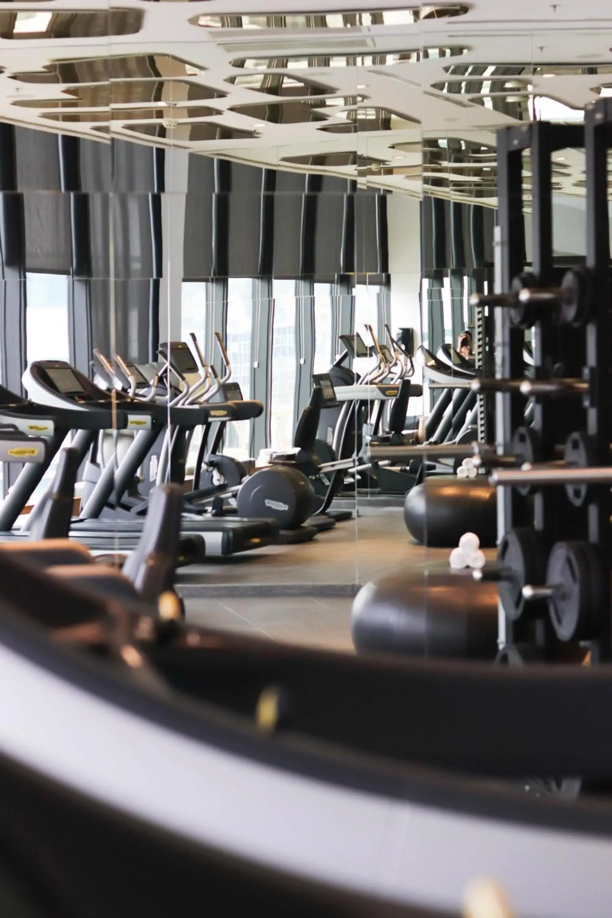 Fitness centre/facilities in Swissotel Sarajevo Fitness centre/facilities in Swissotel Sarajevo