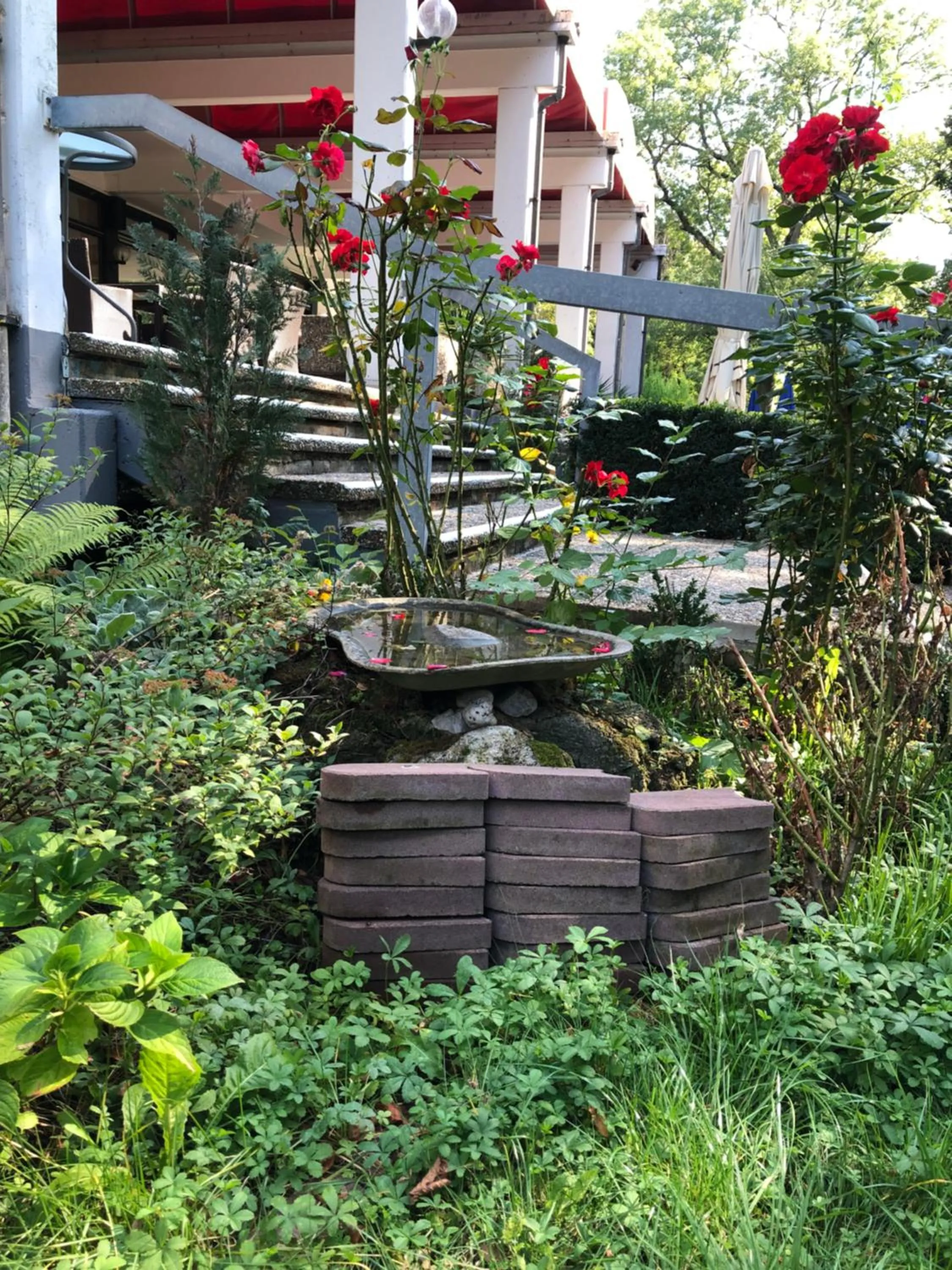 Garden view in Reichels Parkhotel